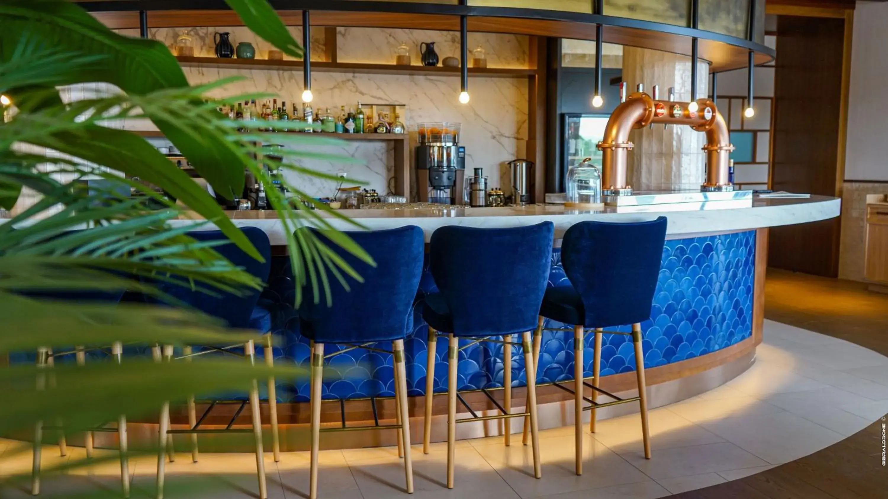 Restaurant/places to eat in SO/ Sotogrande Spa & Golf Resort Hotel Restaurant/places to eat in SO/ Sotogrande Spa & Golf Resort Hotel