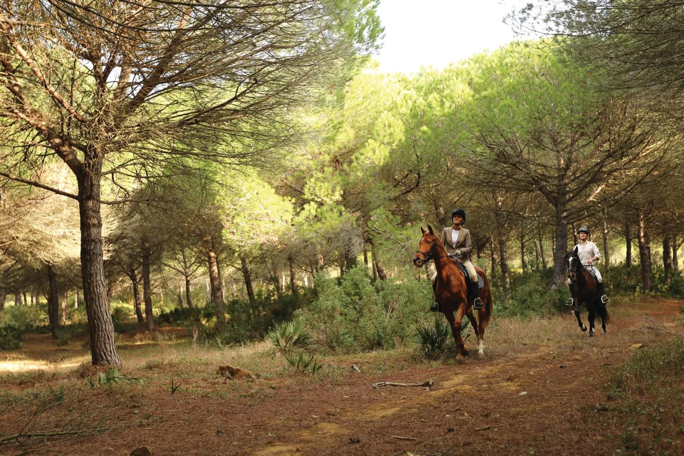 Horse-riding in SO/ Sotogrande Spa & Golf Resort Hotel