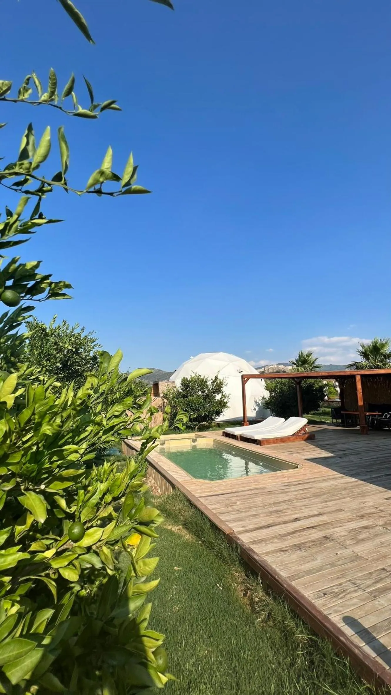 Garden in Mandalin Glamping