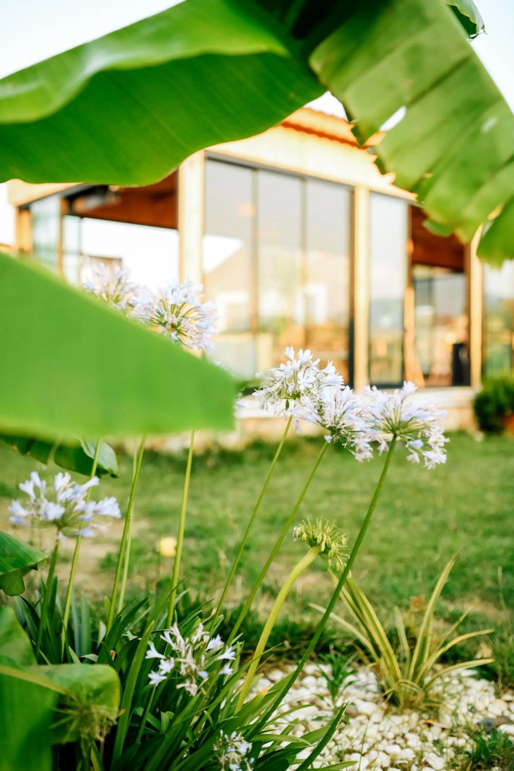 Garden in Mandalin Glamping