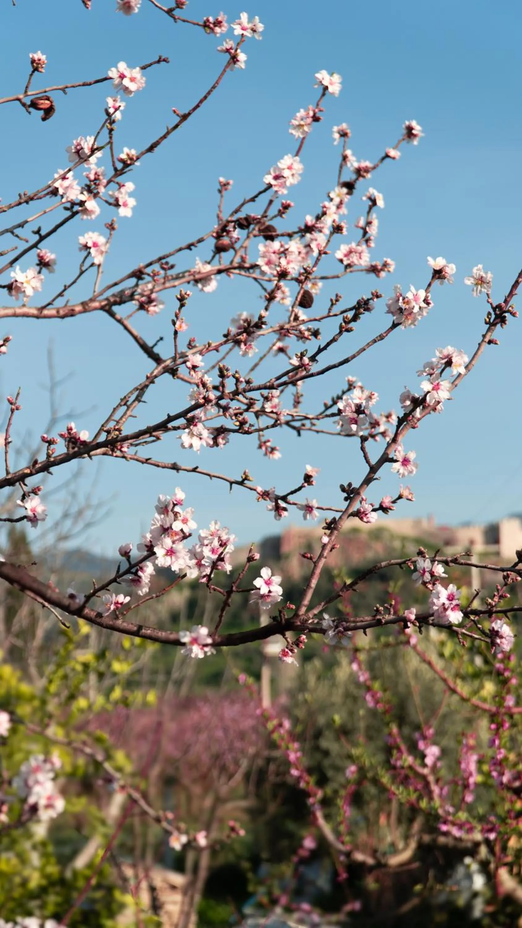 View (from property/room) in Mandalin Glamping