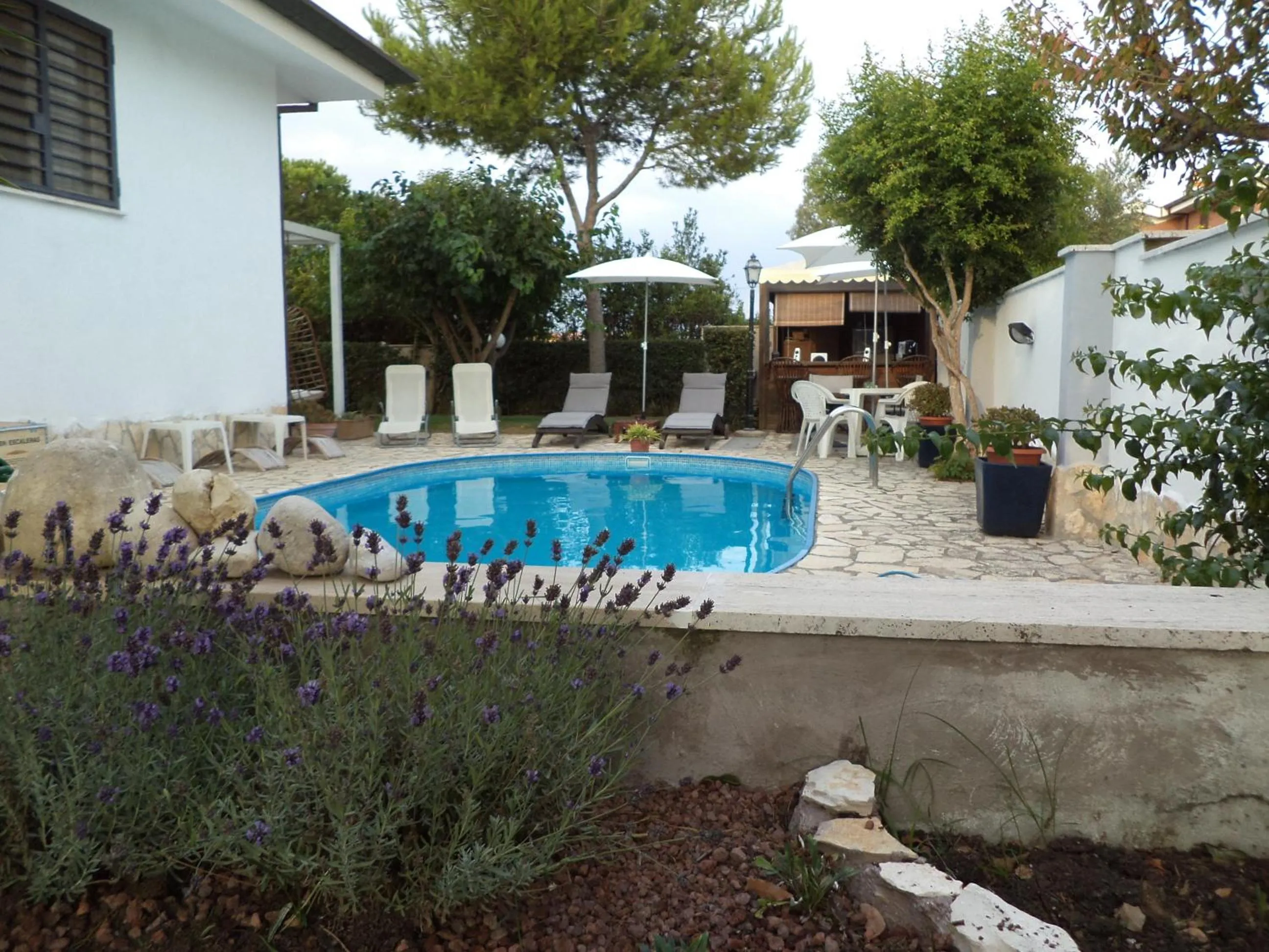 Pool view in Gens Mundi B&B
