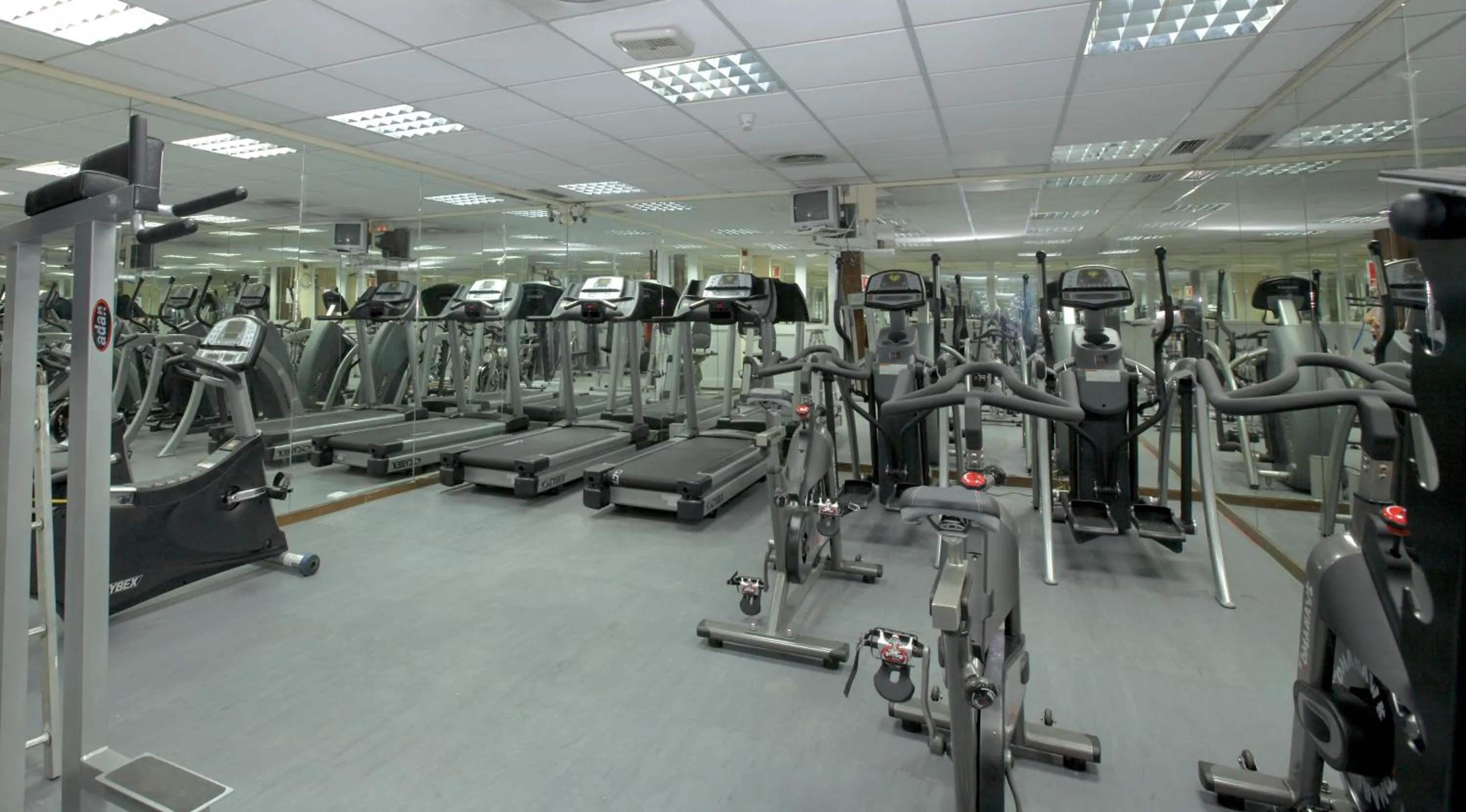 Fitness centre/facilities in Ona Alanda Club Marbella