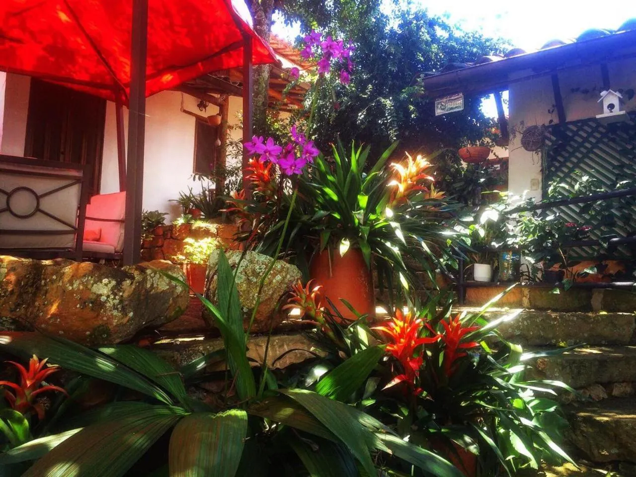 Tinto Hostel