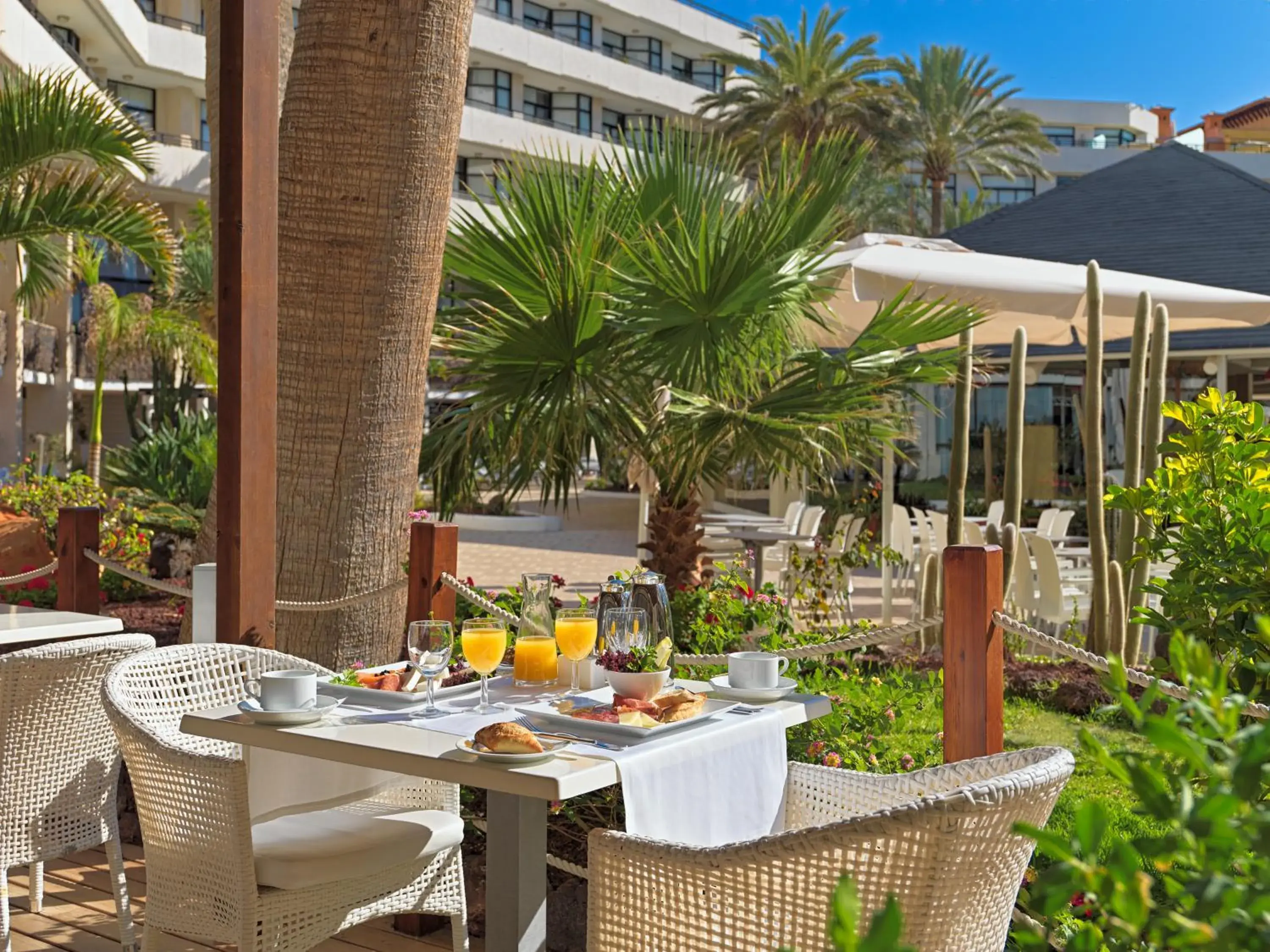 Breakfast in H10 Conquistador Breakfast in H10 Conquistador