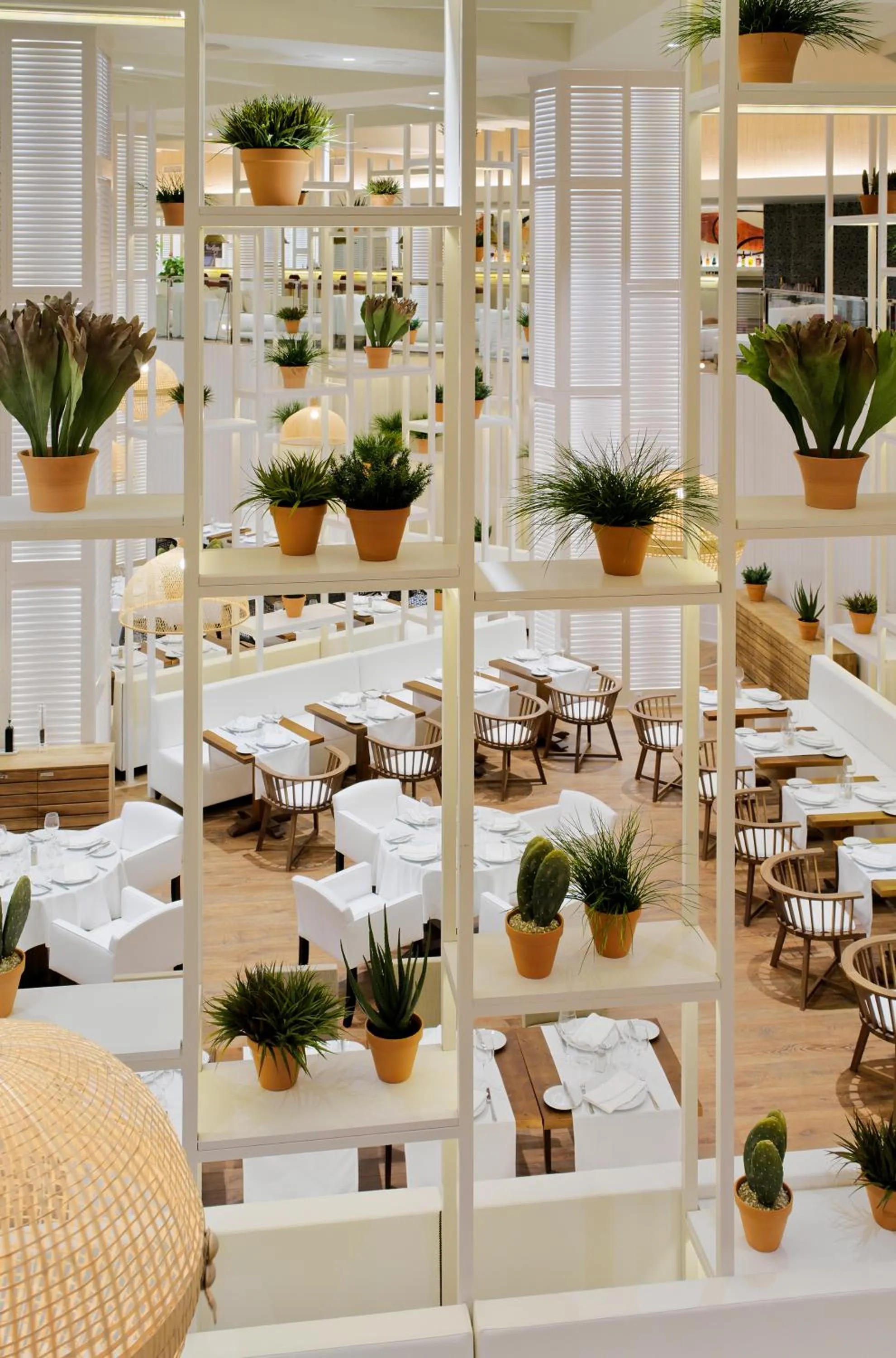 Restaurant/places to eat in H10 Conquistador