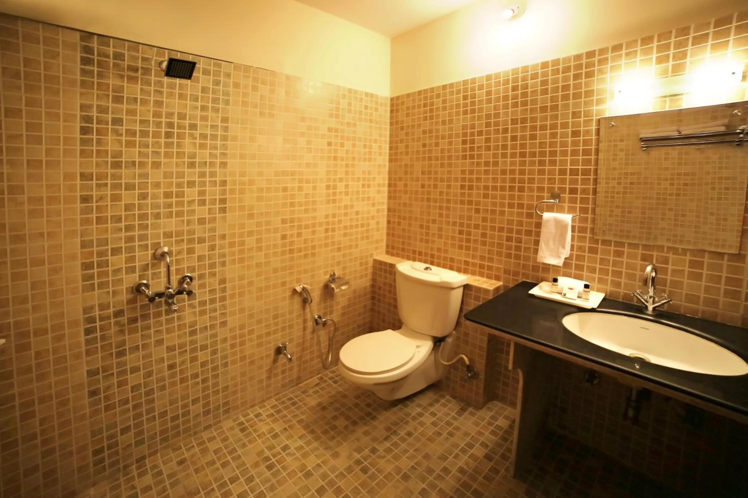 Bathroom in Hotel Royal Pratap Niwas