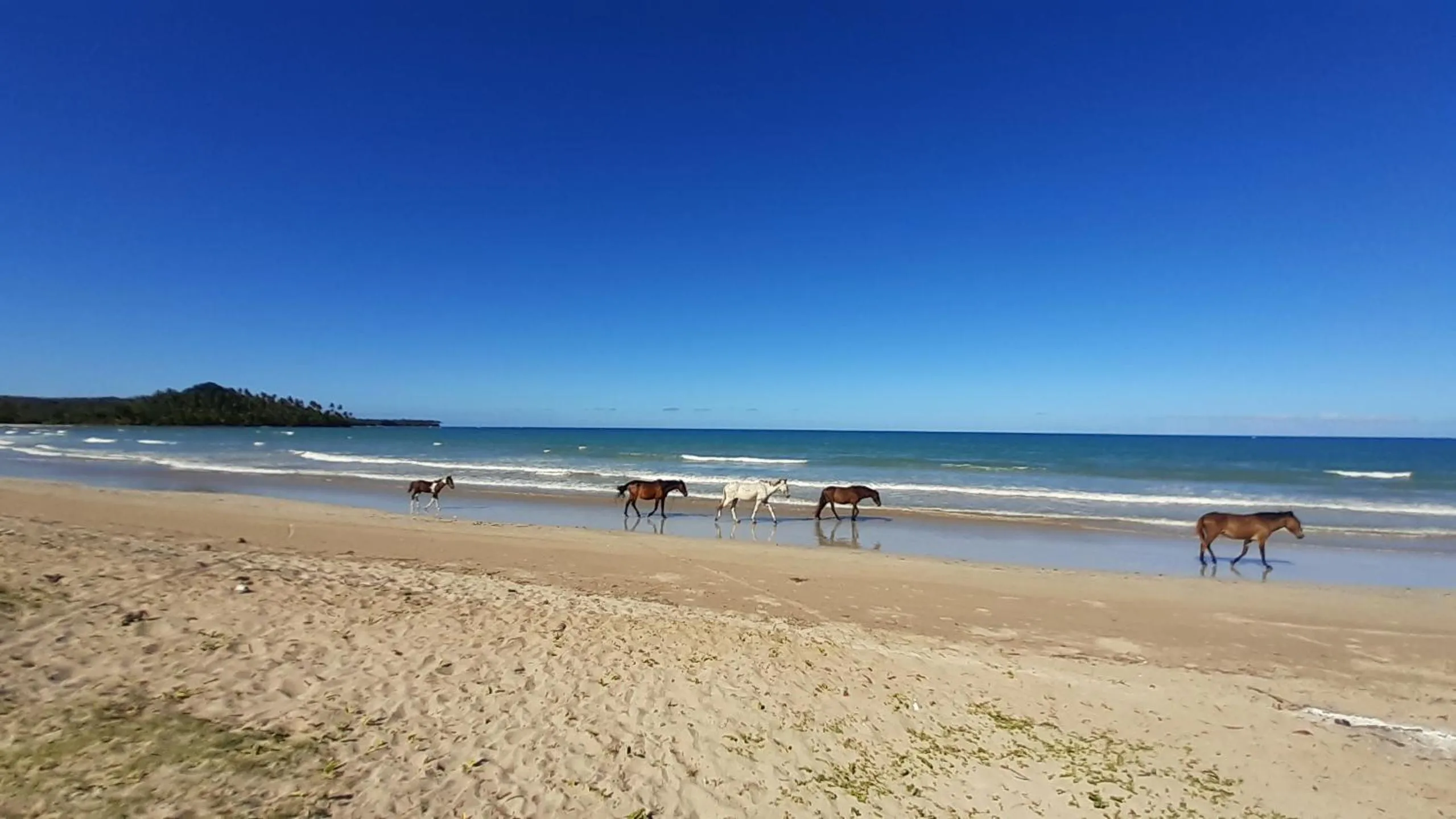Other in Pousada Casa da Edinha