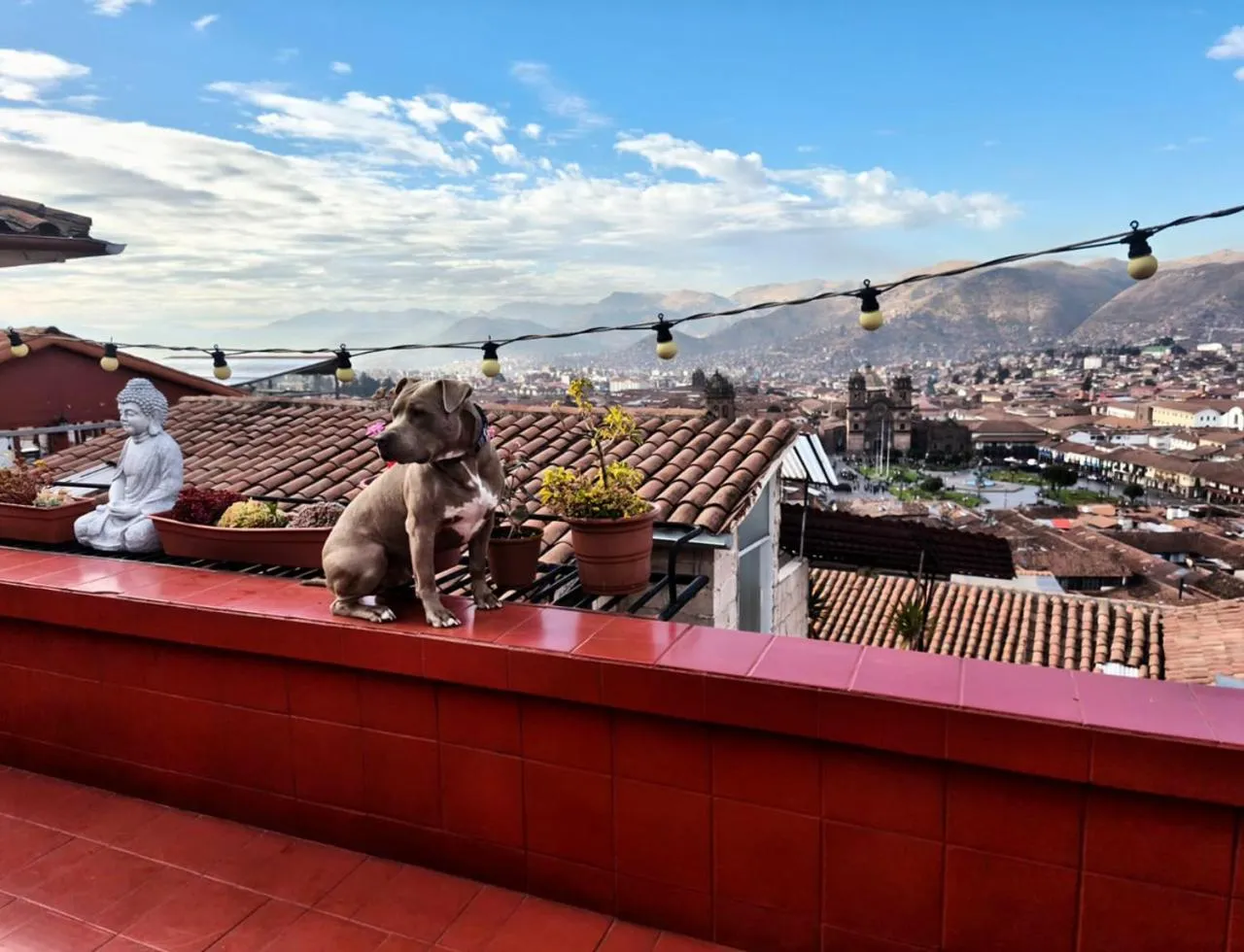 Balcony/Terrace in Eco Home View - Guest House