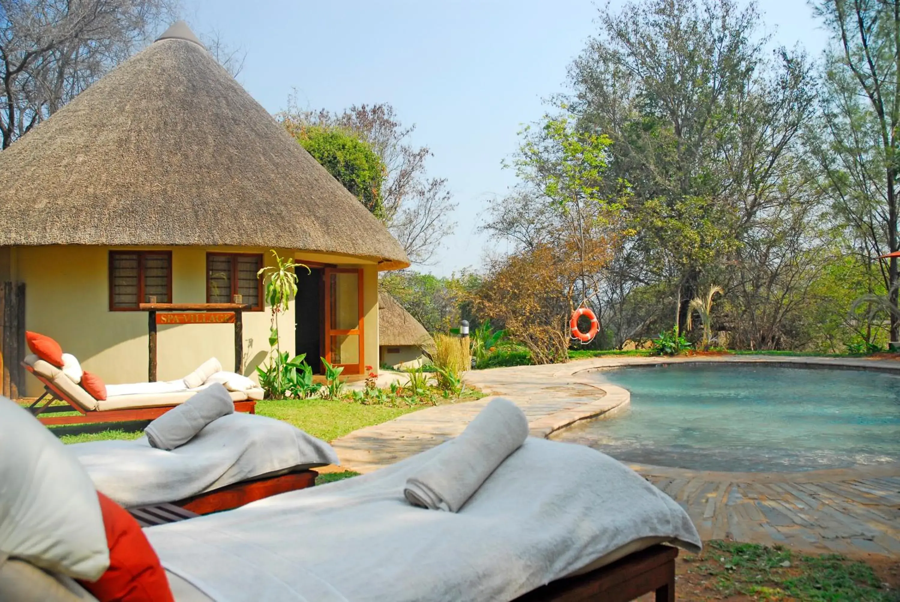 Swimming pool in Divava Okavango Resort & Spa Swimming pool in Divava Okavango Resort & Spa