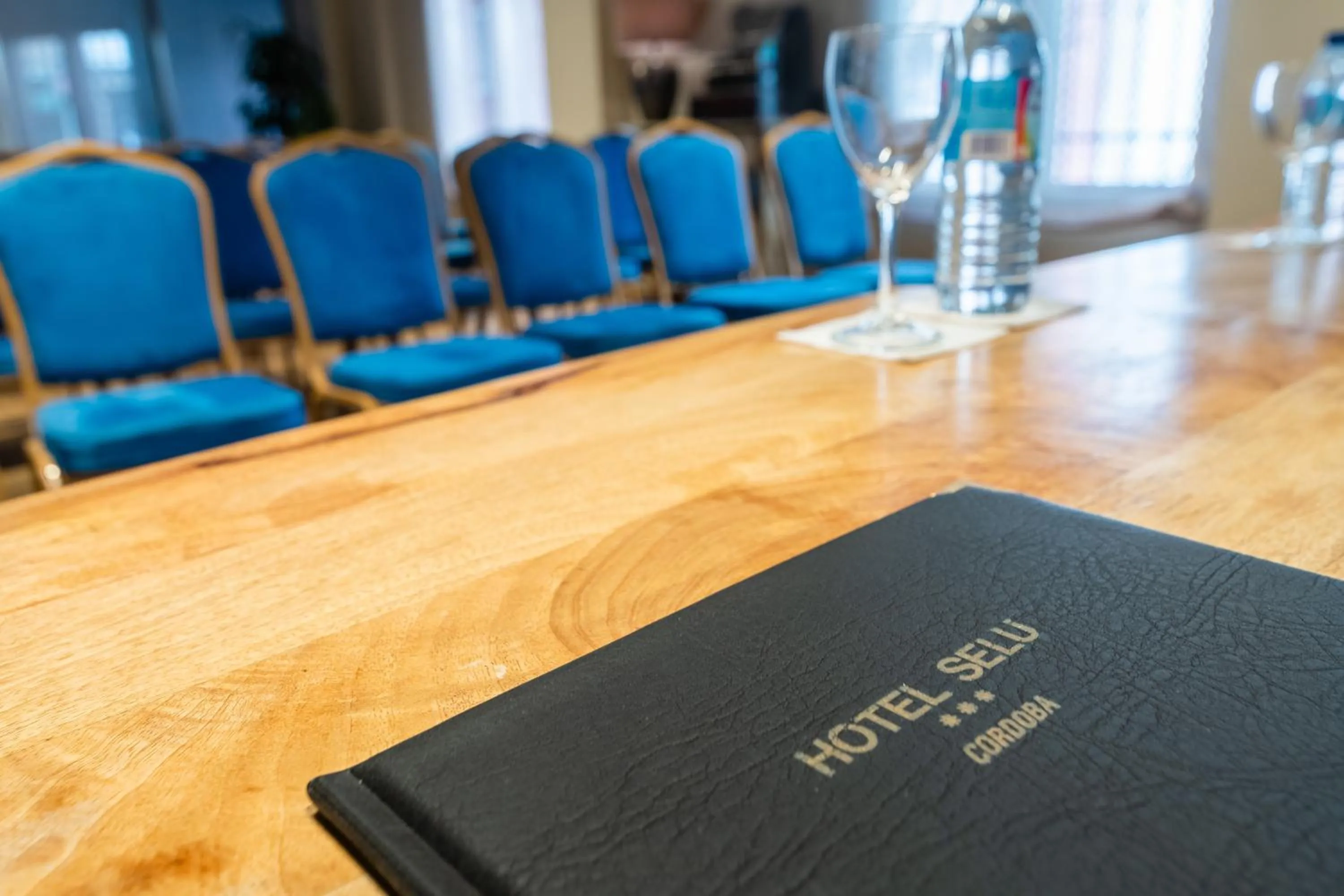 Meeting/conference room in Hotel Selu