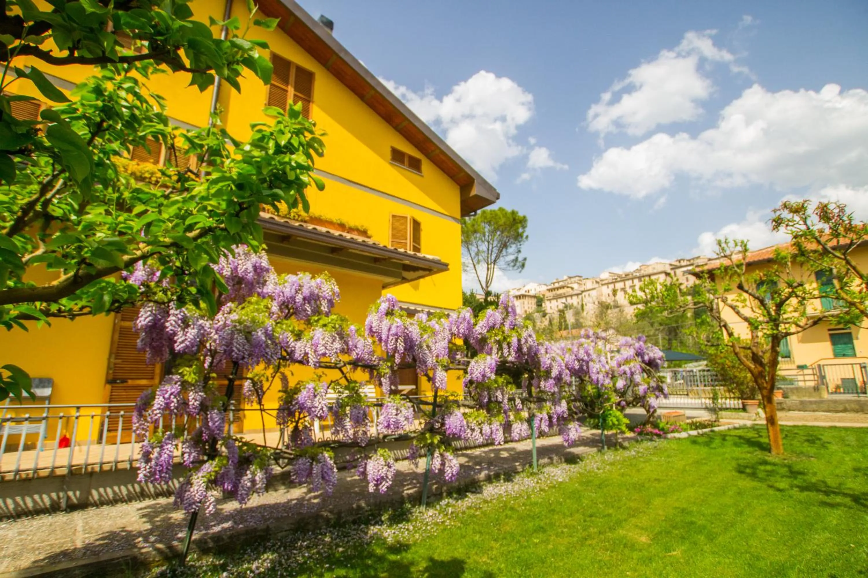 View (from property/room) in B&B I Narcisi