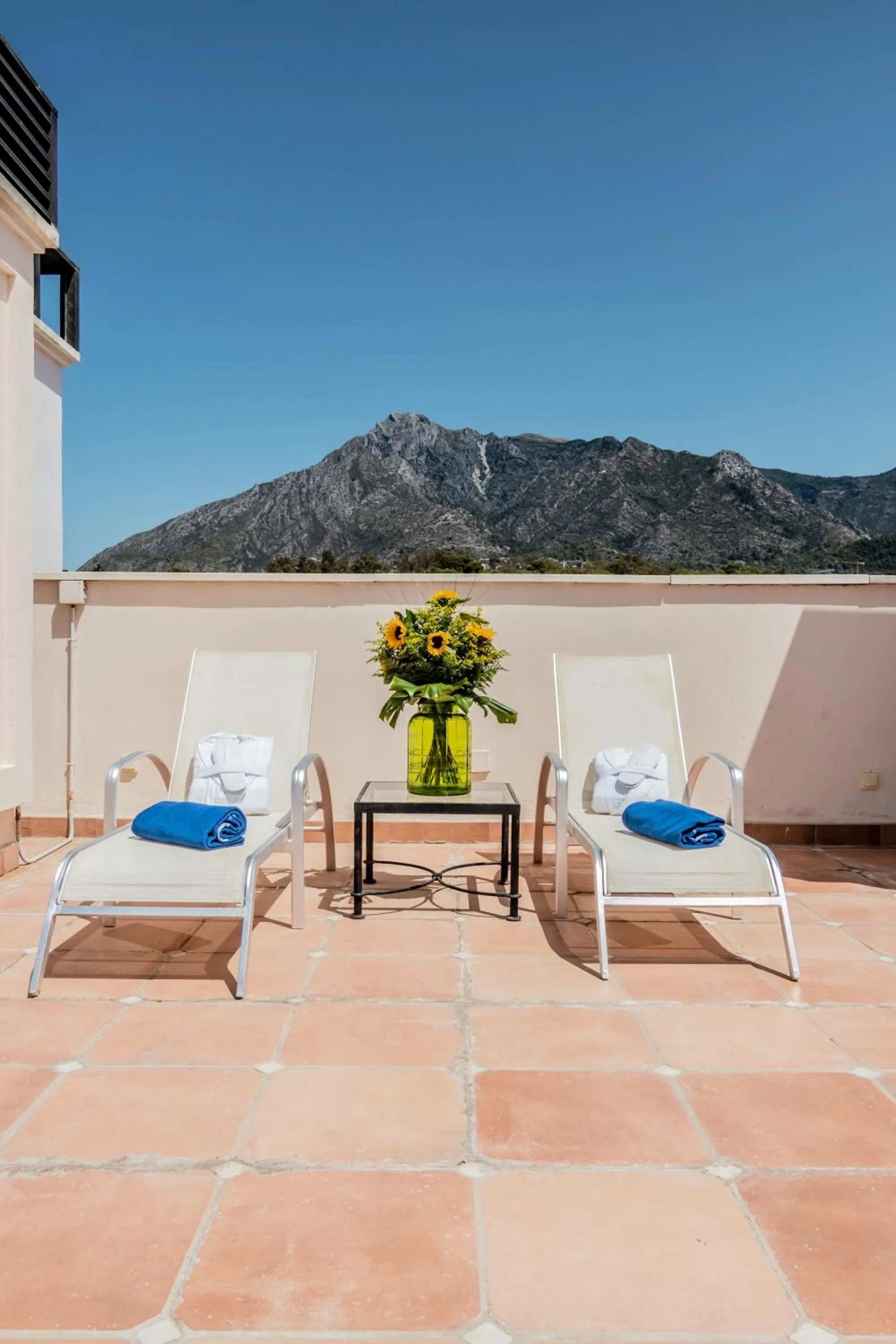 Solarium in Guadalpin Suites