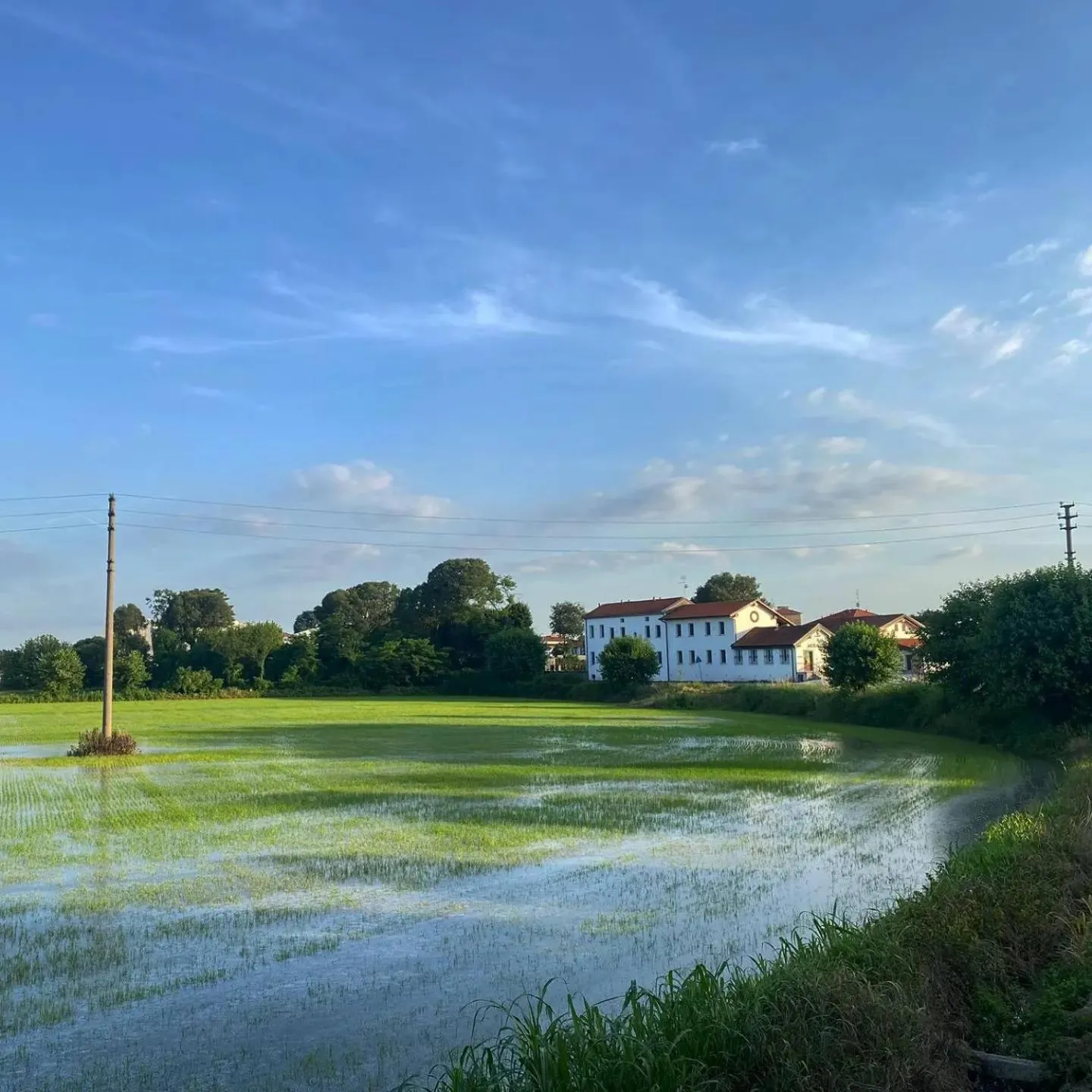 Day in Cascina Mora Bassa