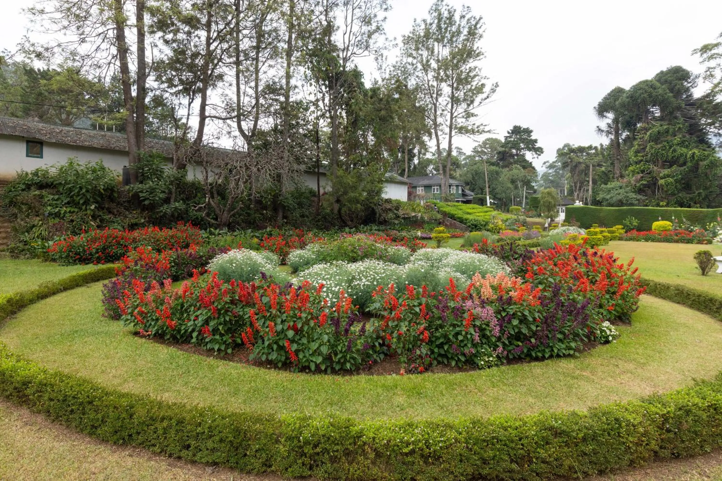 Garden in The Hill Club