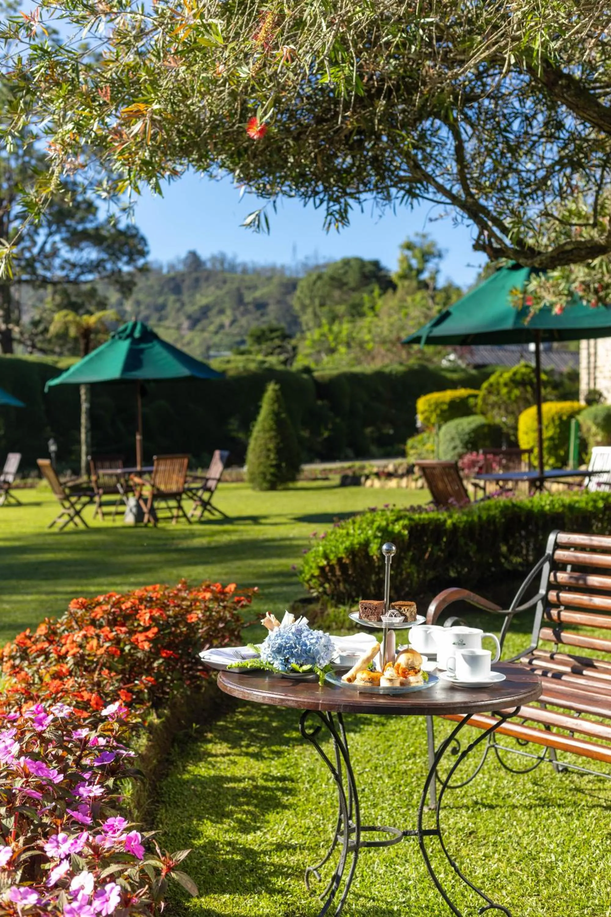 Garden in The Hill Club