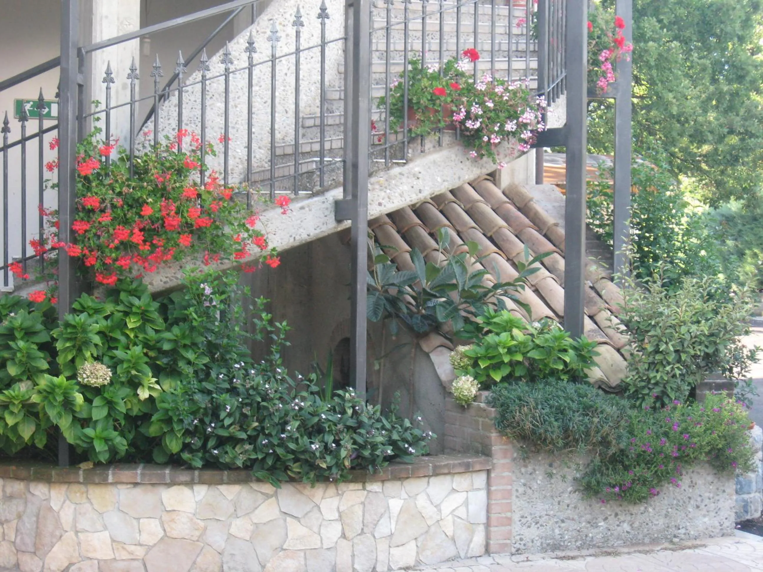 Street view in Parco Sogni d'Oro
