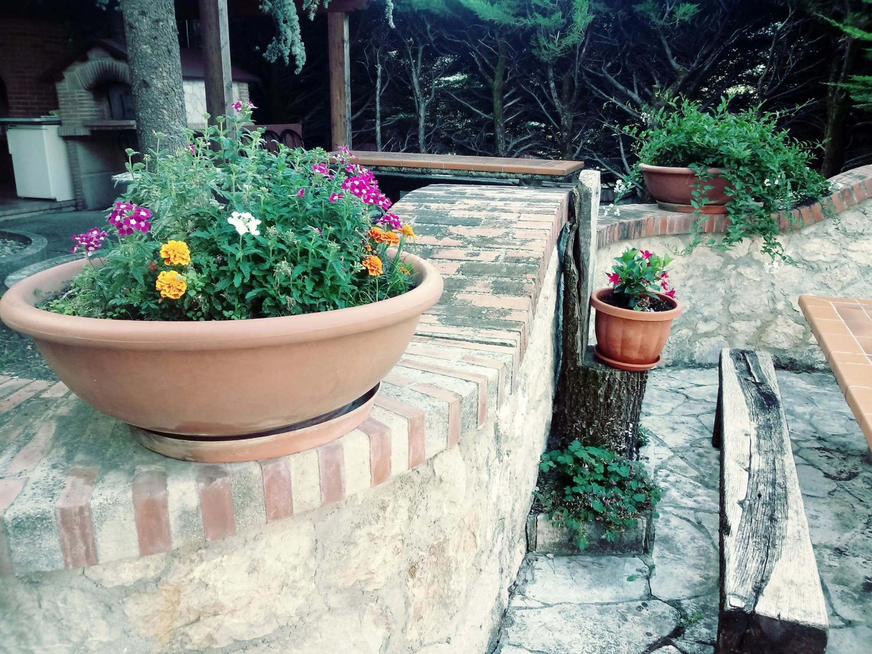 Garden view in Parco Sogni d'Oro