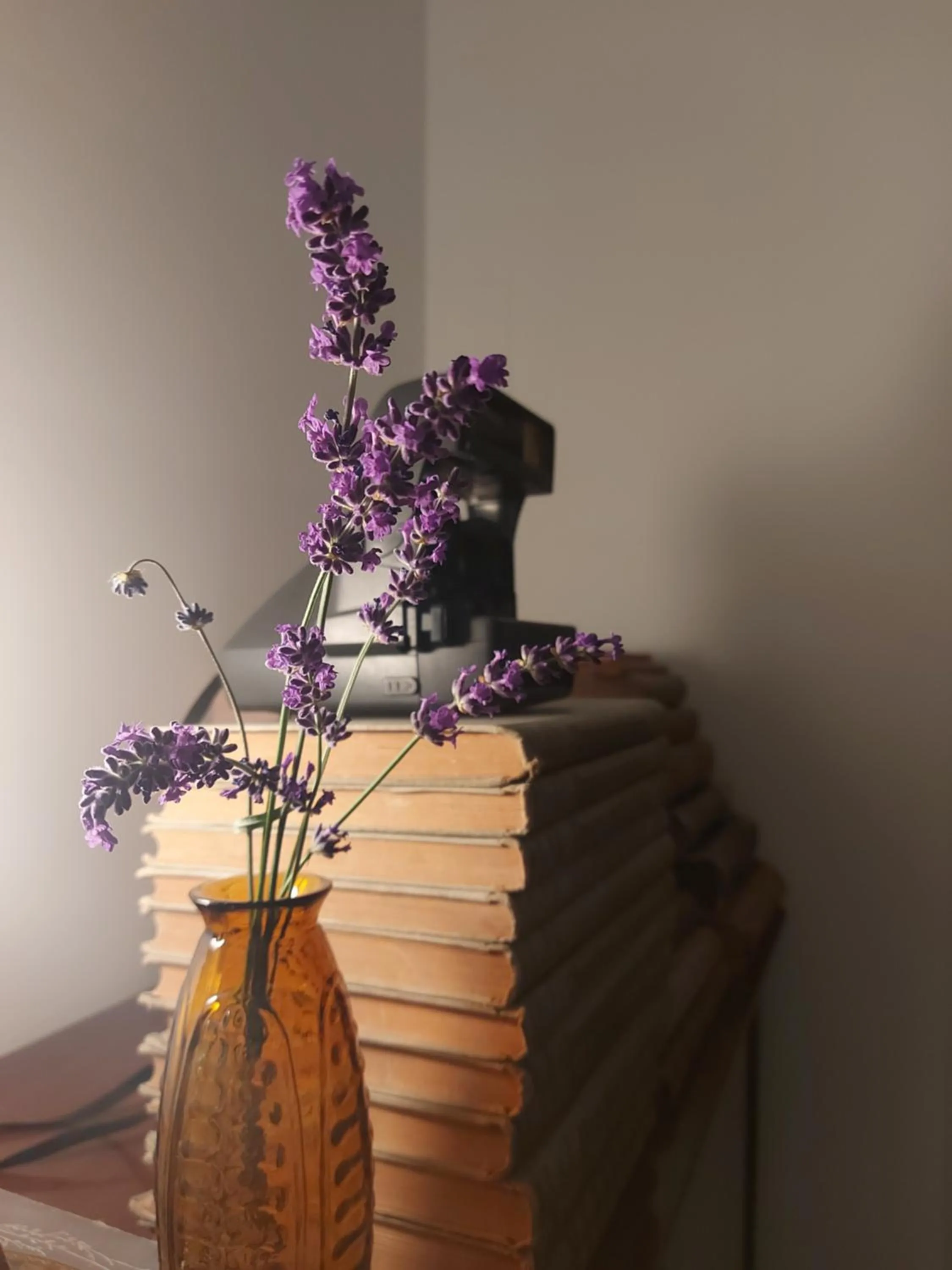 Decorative detail in MUSAVVIR