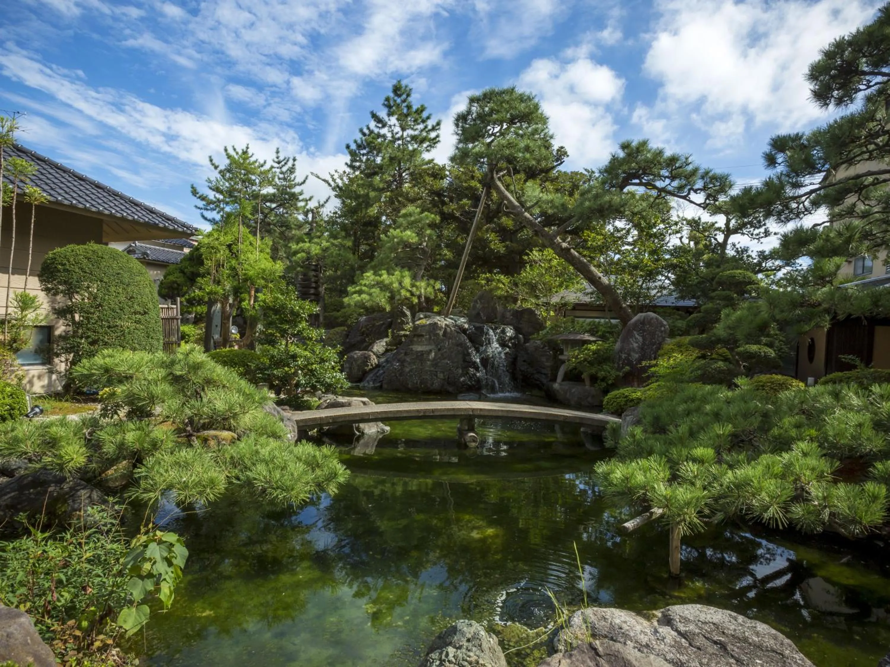 Natural landscape in Hotel Yagi