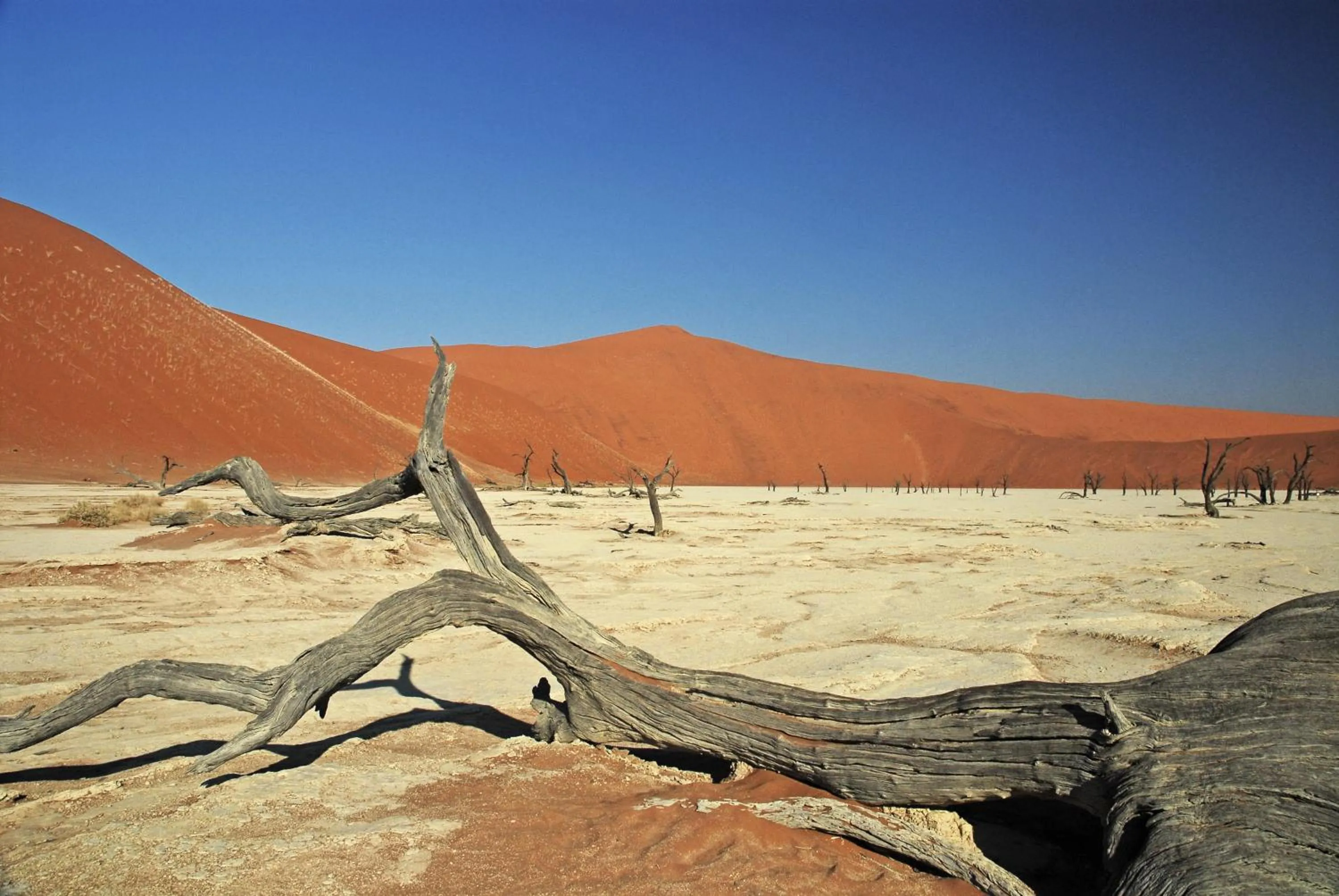 Day in Le Mirage Resort & Spa