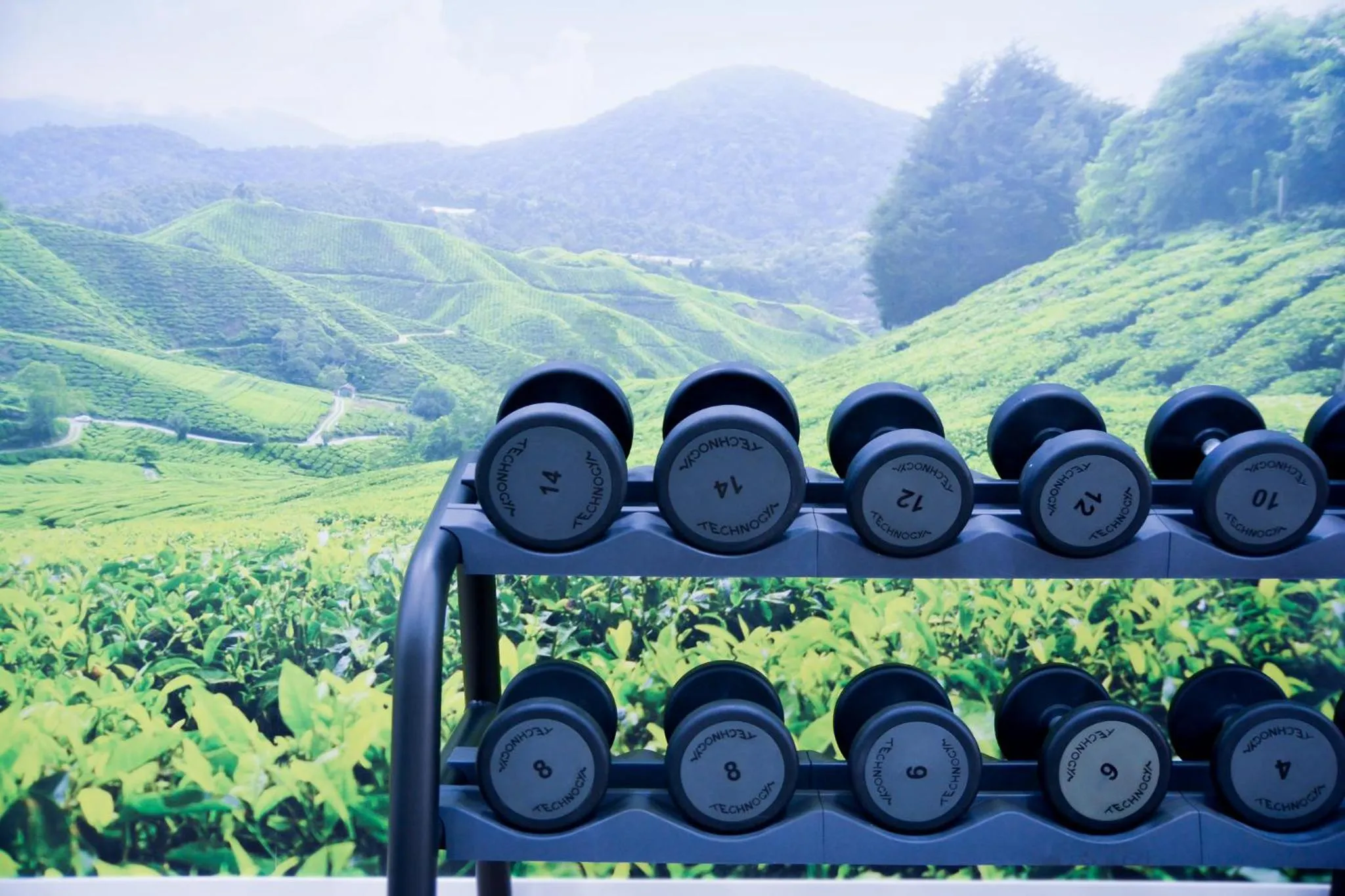 Fitness centre/facilities in Sercotel Amistad Murcia