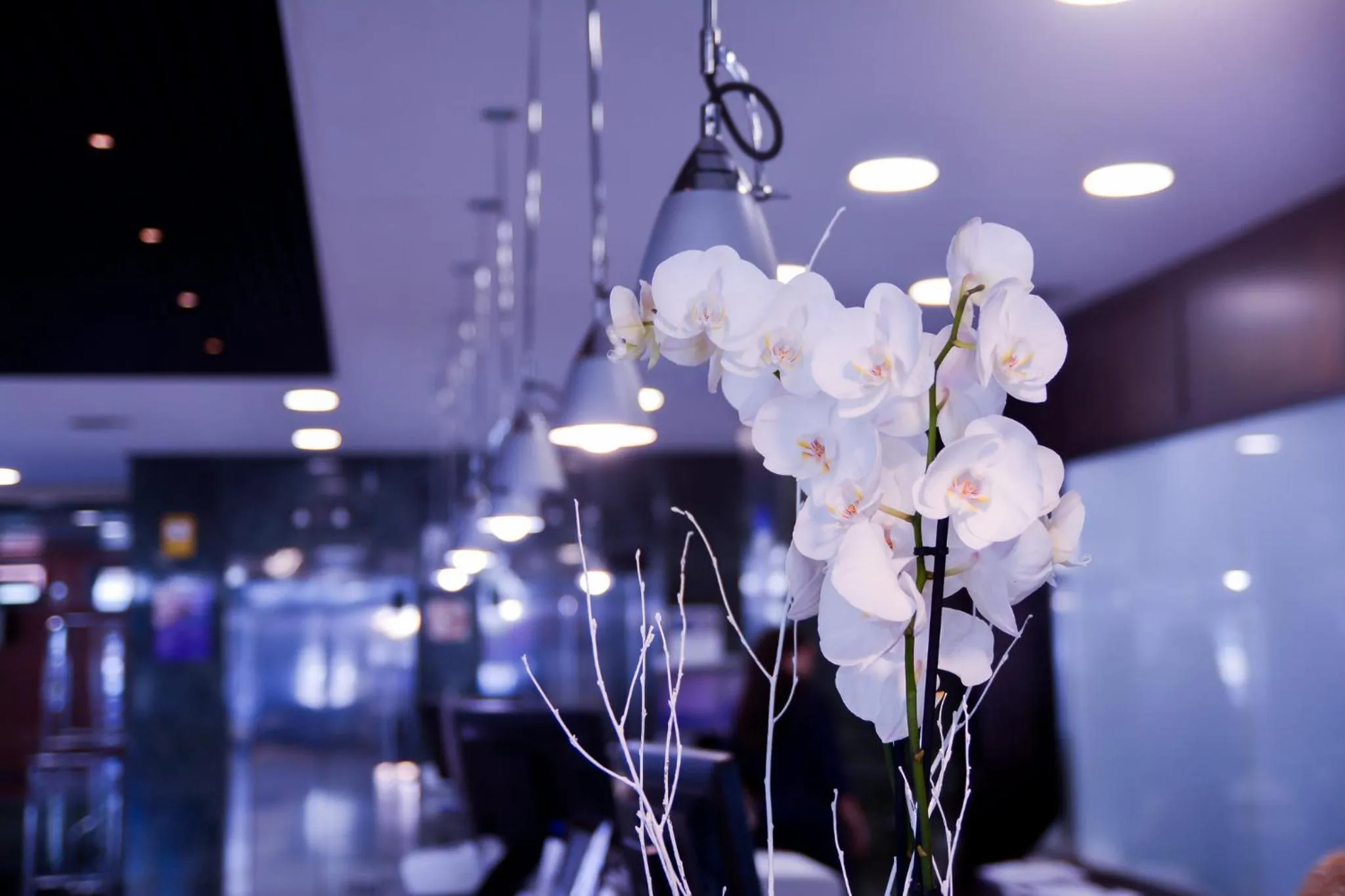 Lobby or reception in Sercotel Amistad Murcia