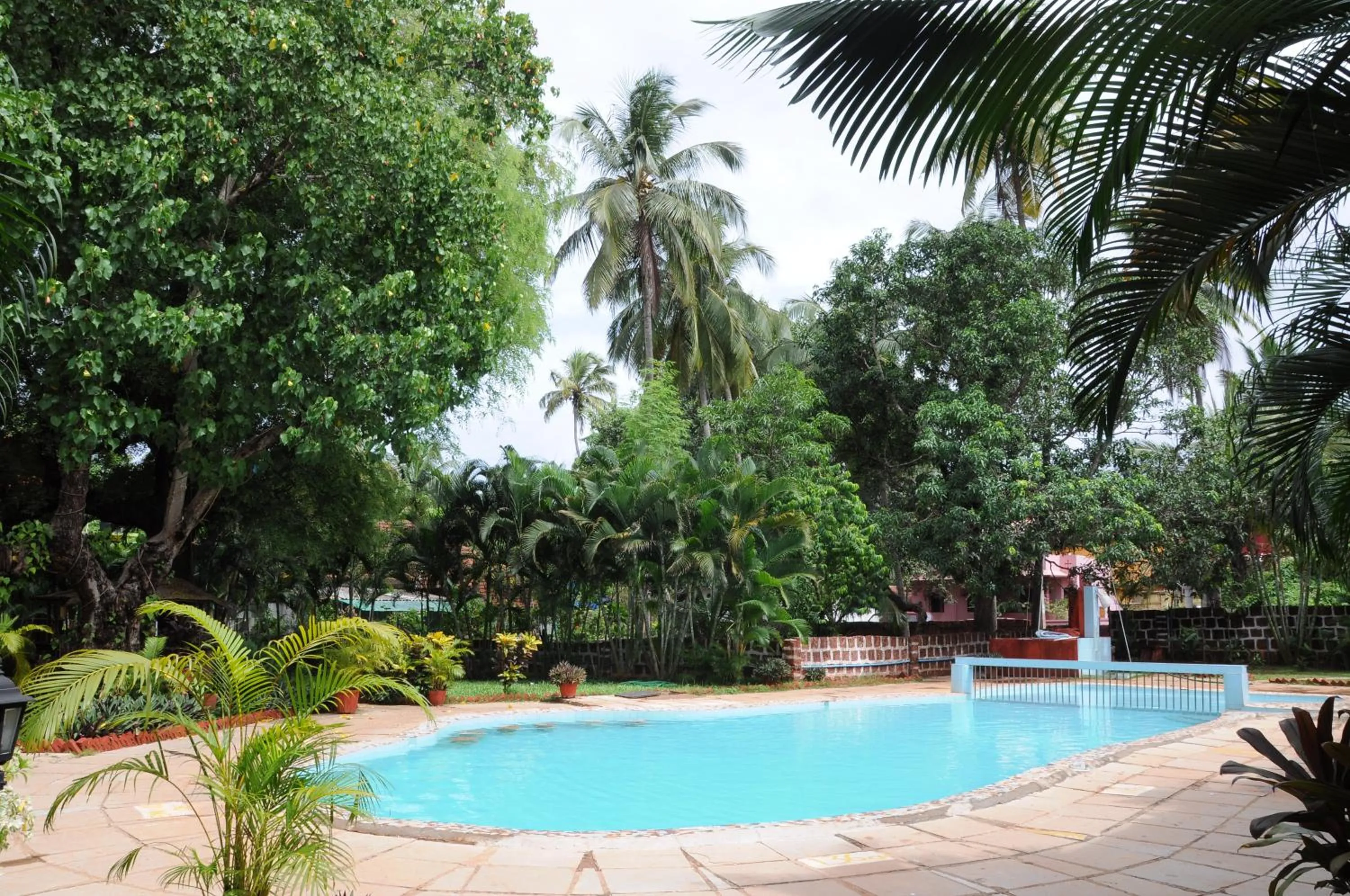 Swimming pool in Sea Breeze Beach, Calangute, Goa