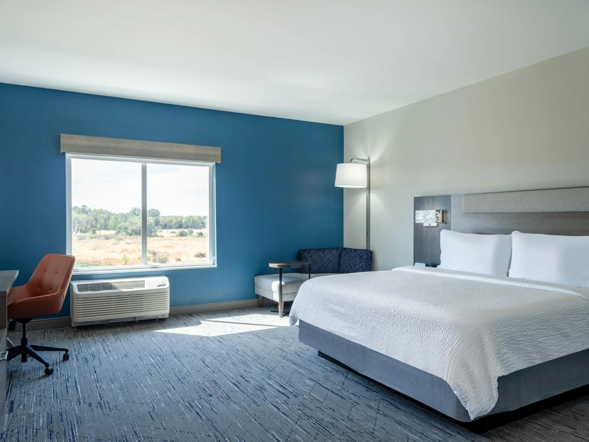 Photo of the whole room, Bed in Holiday Inn Express & Suites - Meridian - Boise West by IHG