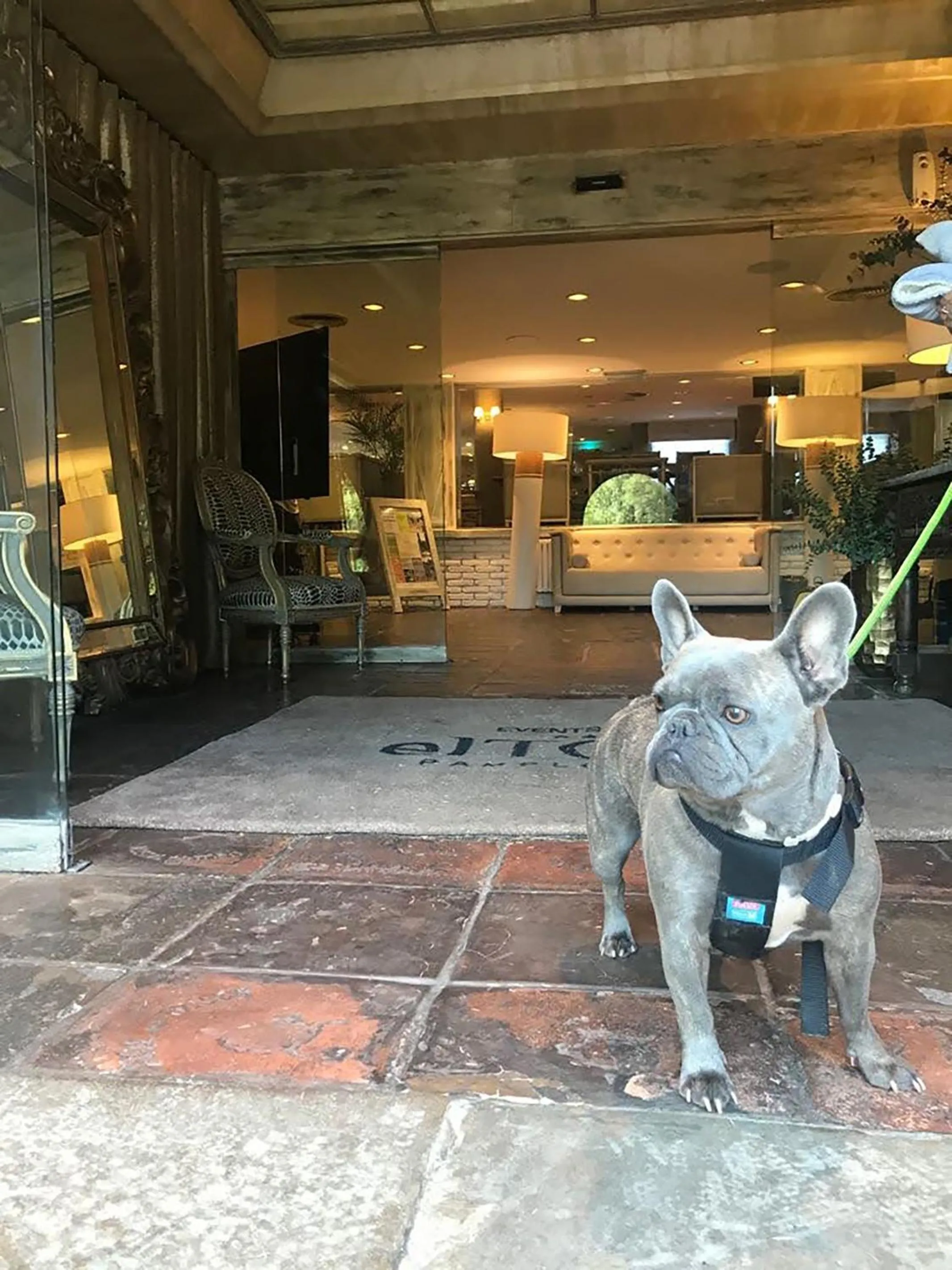 Pets in Hotel Luze El Toro