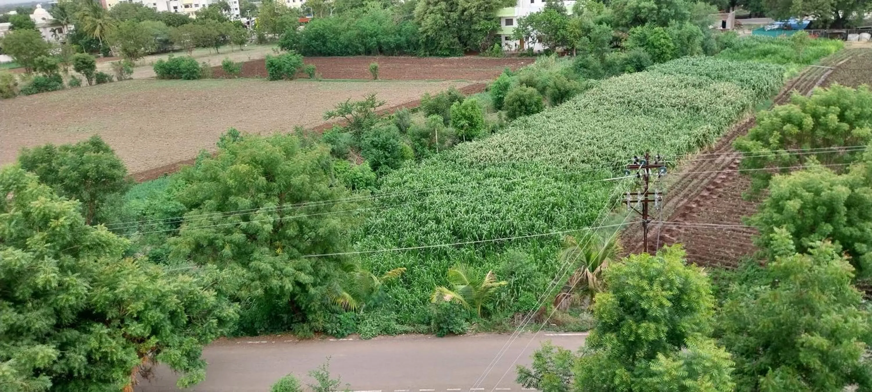 Neighbourhood in SAI SRUSHTI by NEEM SQUARE