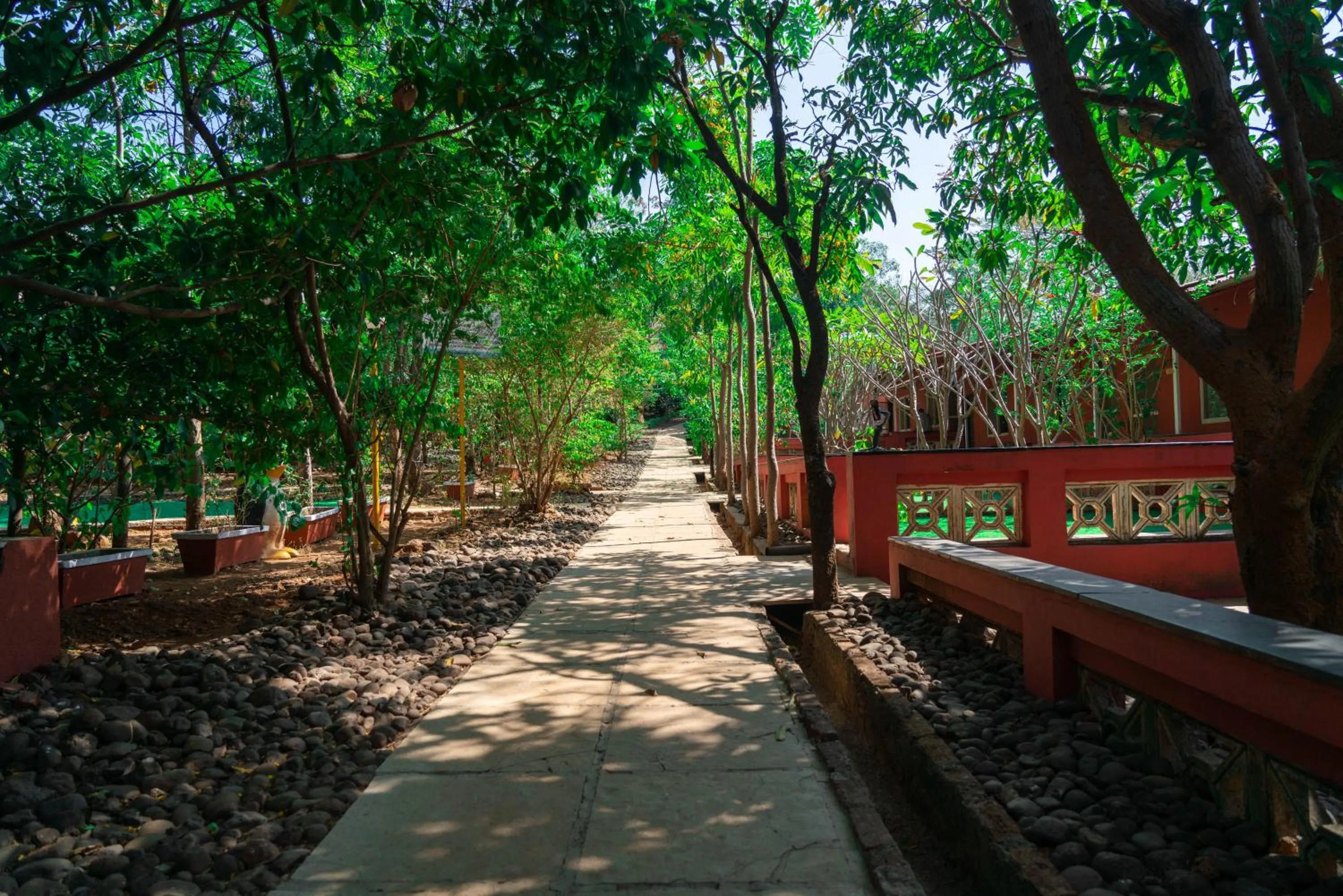 Facade/entrance in Wild Camp- The Nature Resort