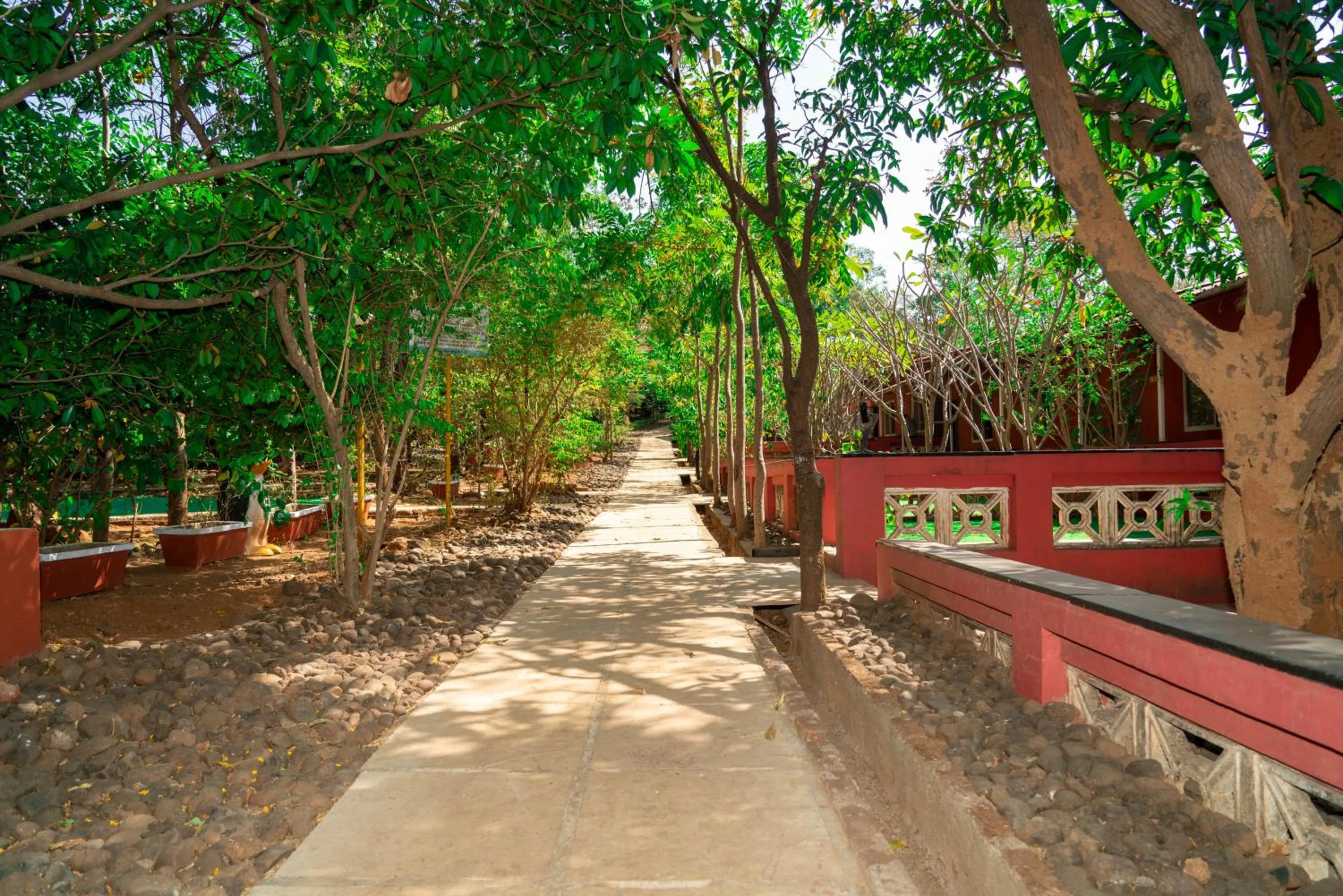 Other in Wild Camp- The Nature Resort