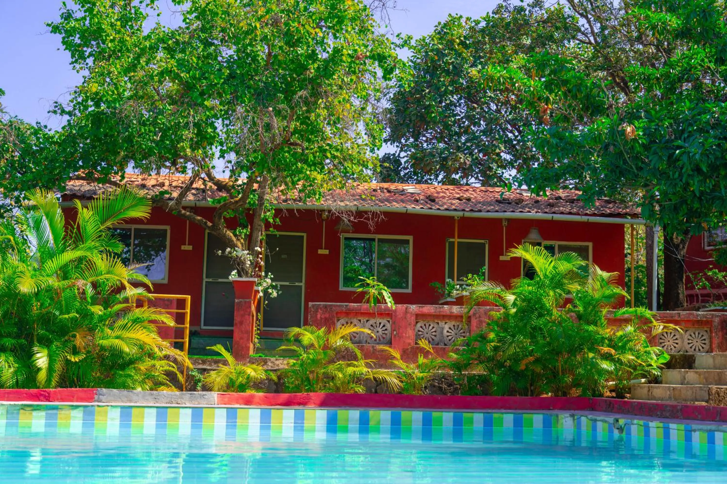 Swimming pool in Wild Camp- The Nature Resort