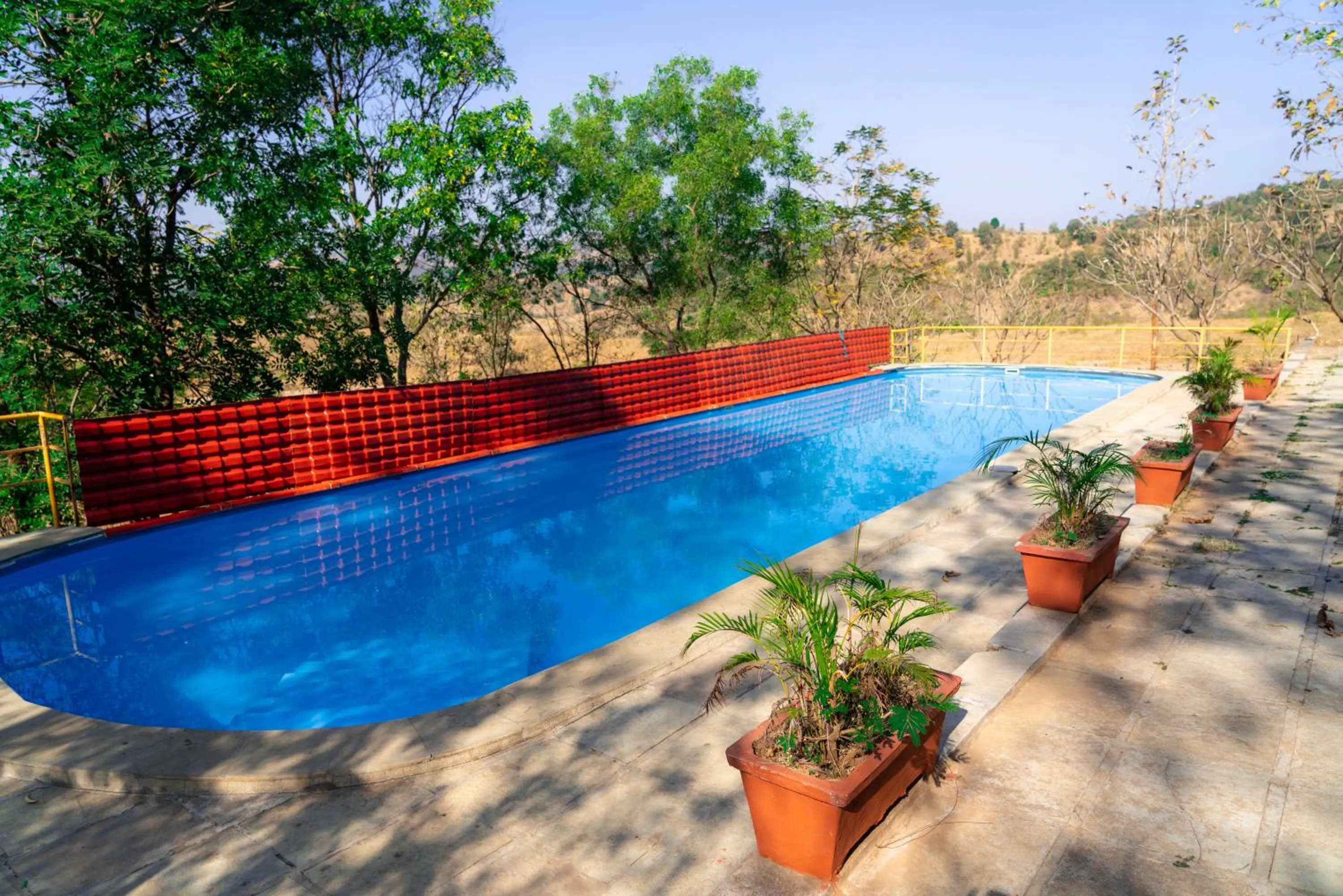 Swimming pool in Wild Camp- The Nature Resort