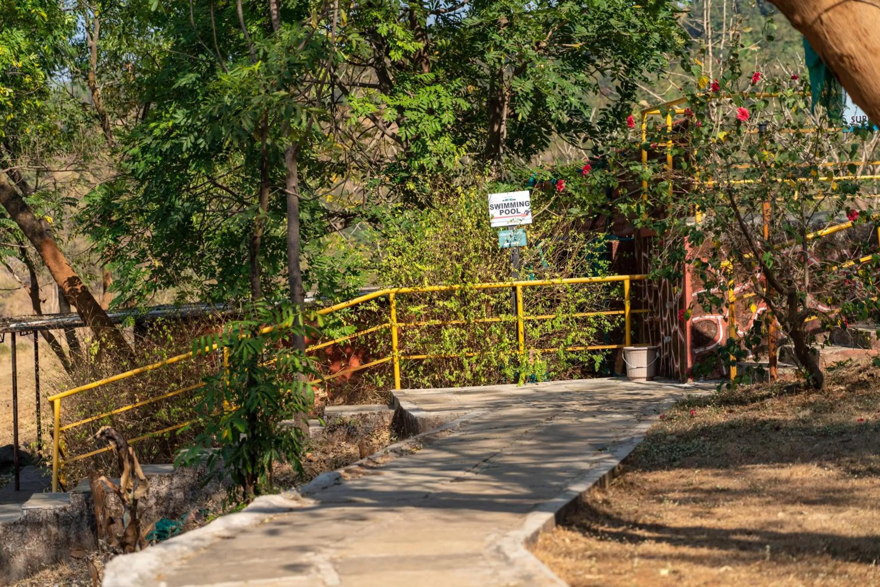 Natural landscape in Wild Camp- The Nature Resort