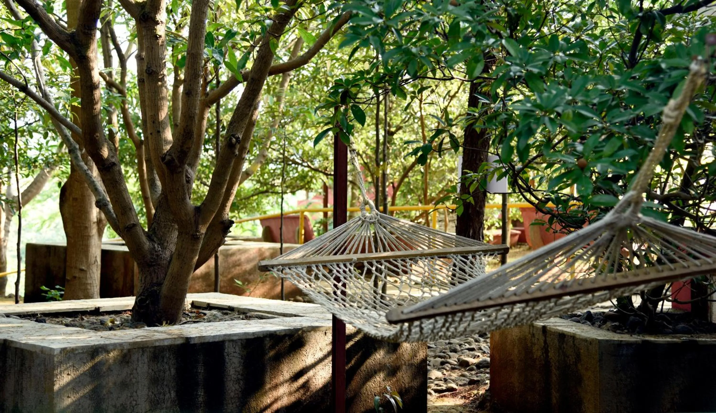 Other in Wild Camp- The Nature Resort