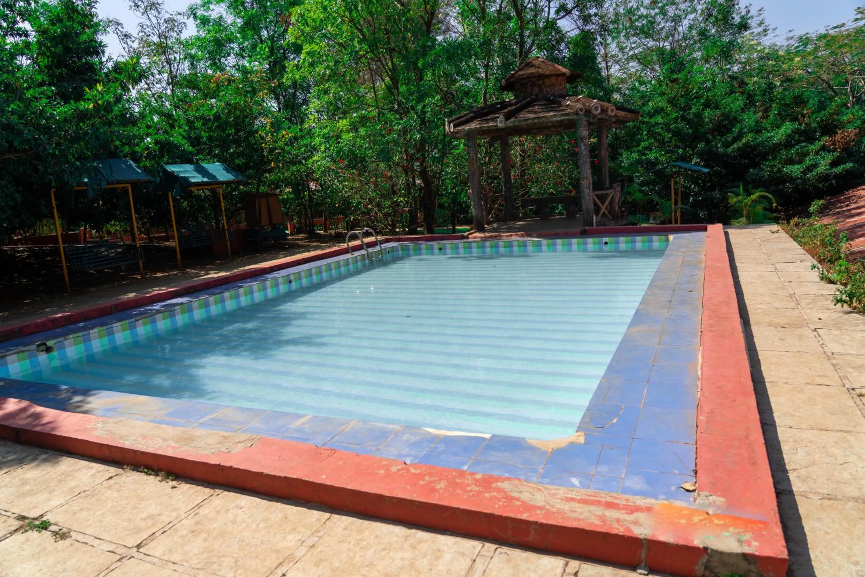 Swimming pool in Wild Camp- The Nature Resort