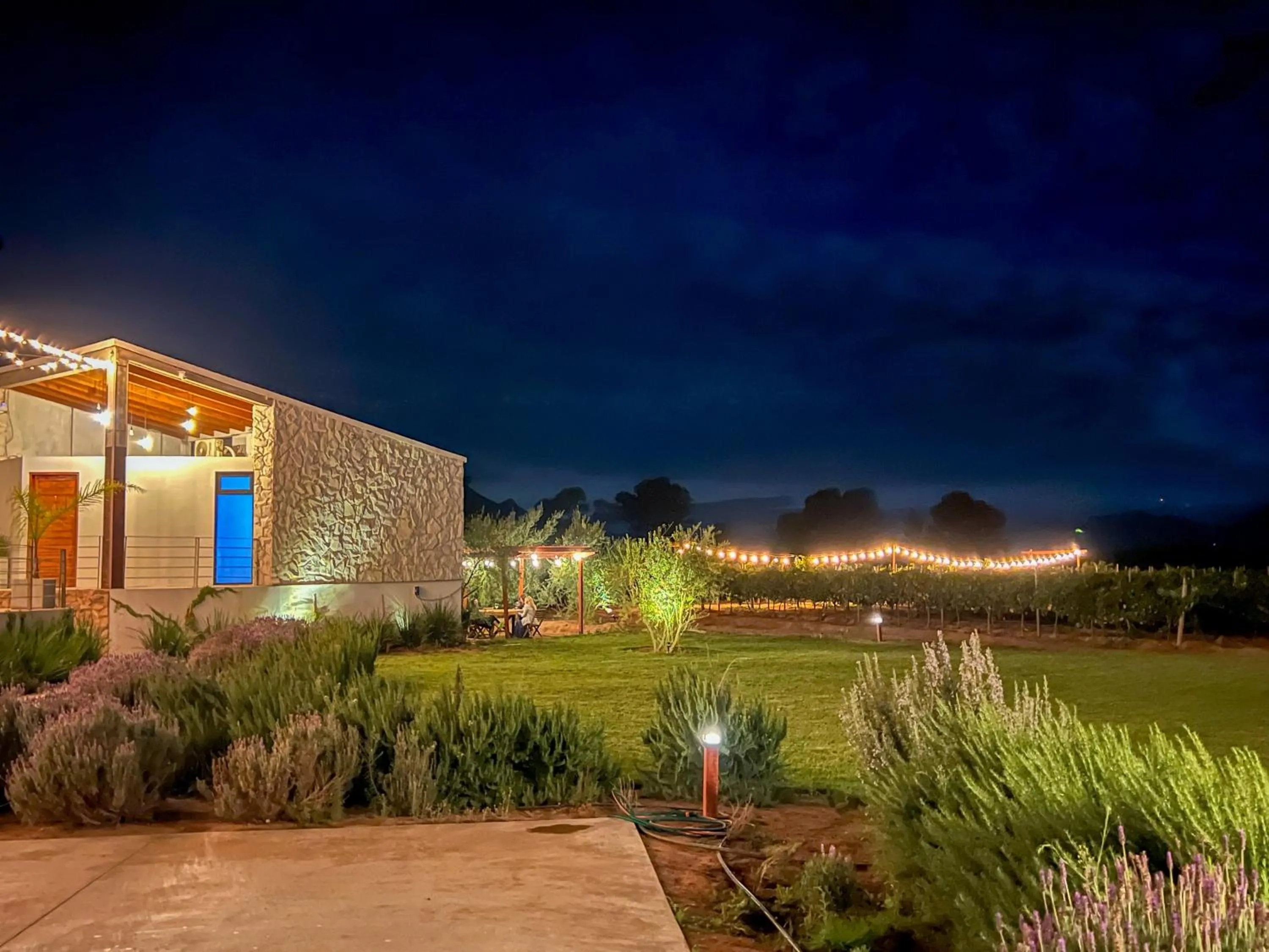 Viñedo Casa la Noria