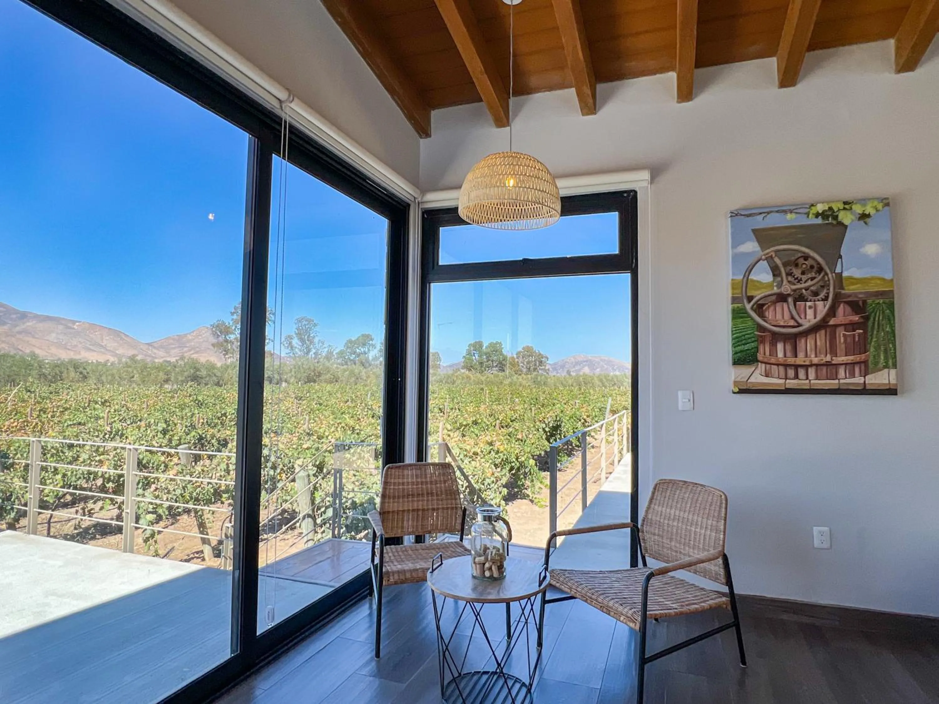 Viñedo Casa la Noria