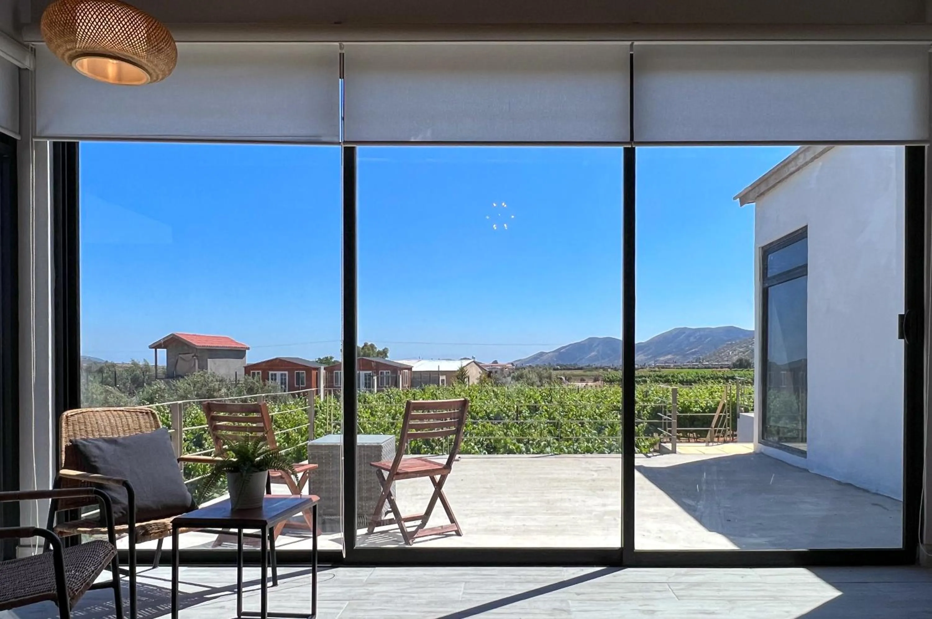 Viñedo Casa la Noria