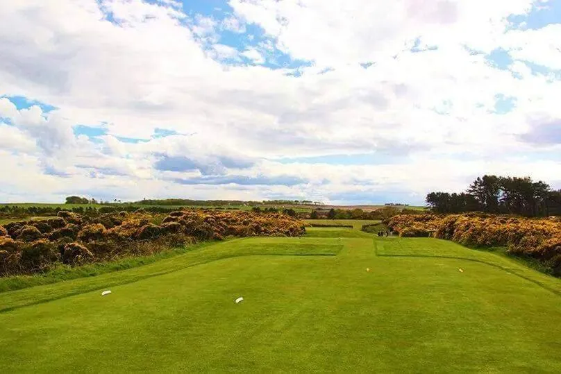 Golfcourse in The Station