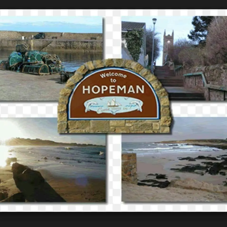 Natural landscape in The Station