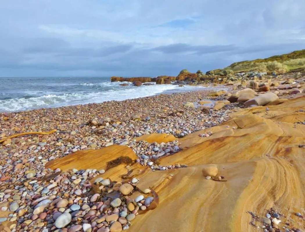 Beach in The Station