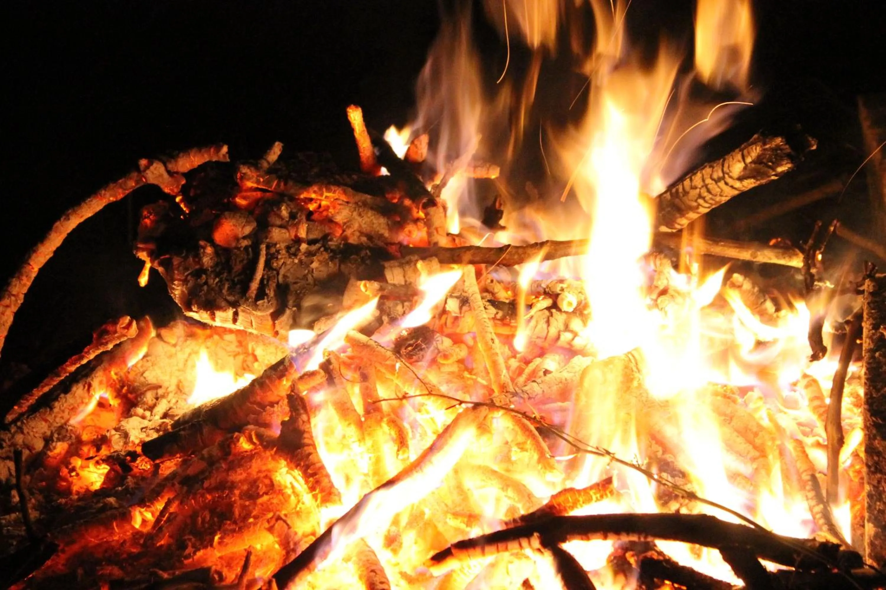 Brynhaul Bed and Breakfast