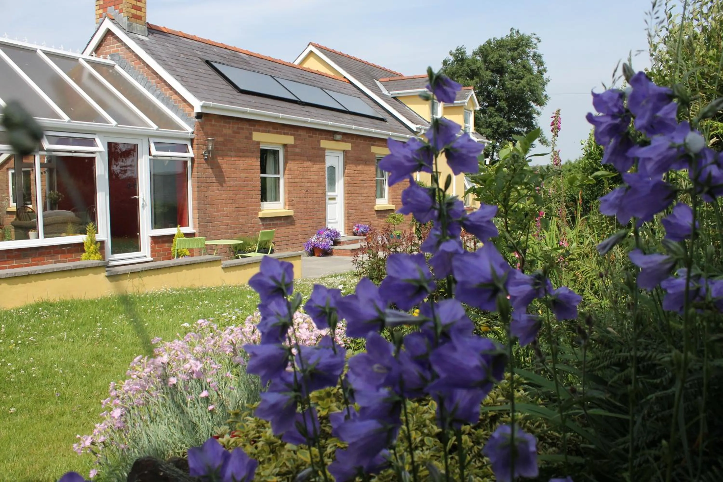 Brynhaul Bed and Breakfast