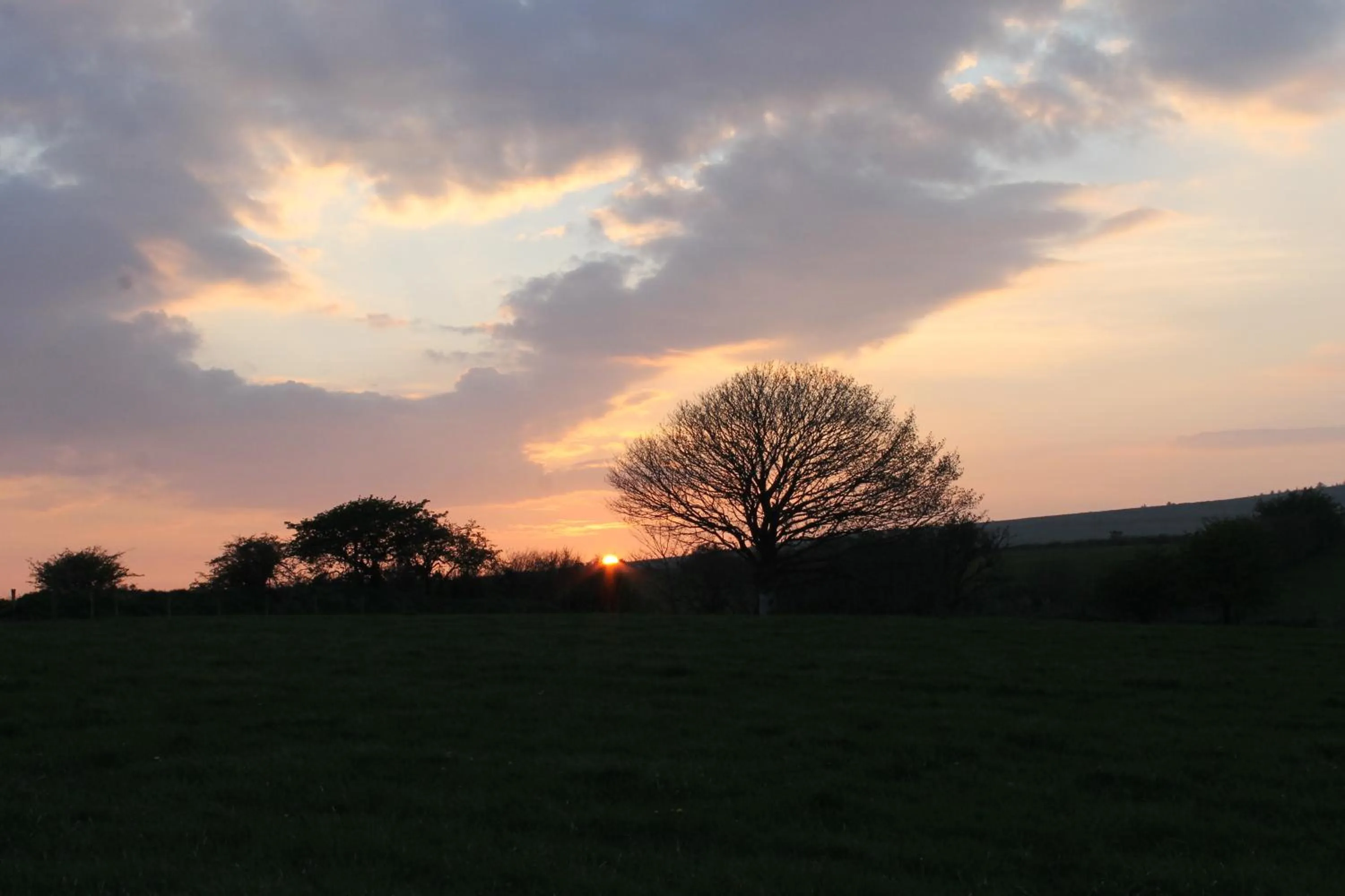 Natural landscape in Brynhaul Bed and Breakfast