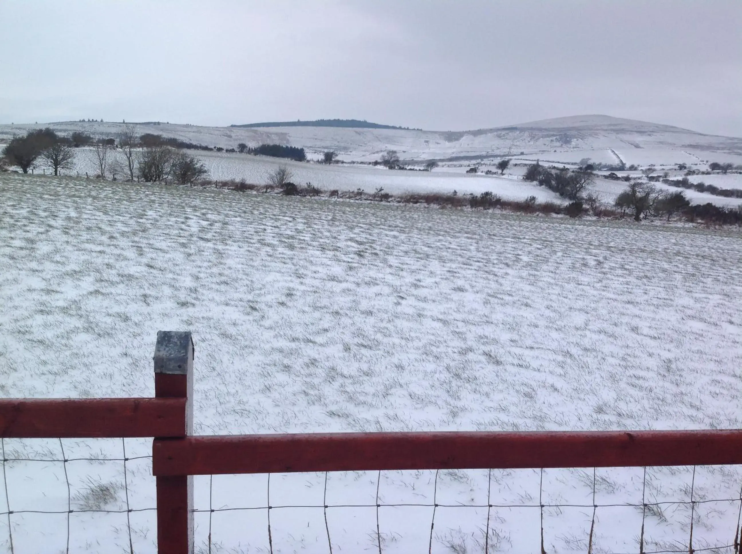 Brynhaul Bed and Breakfast Brynhaul Bed and Breakfast