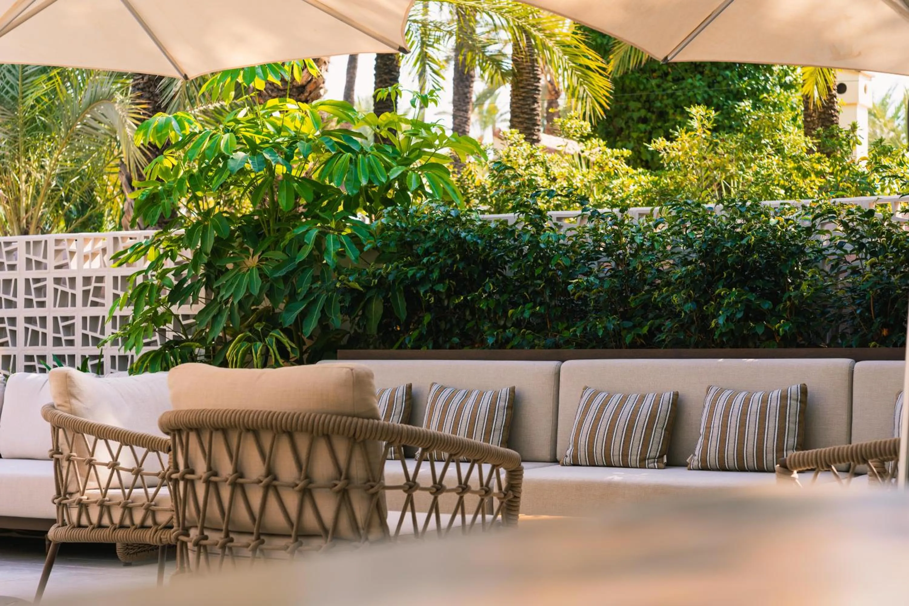 Balcony/Terrace in Hotel Huerto del Cura
