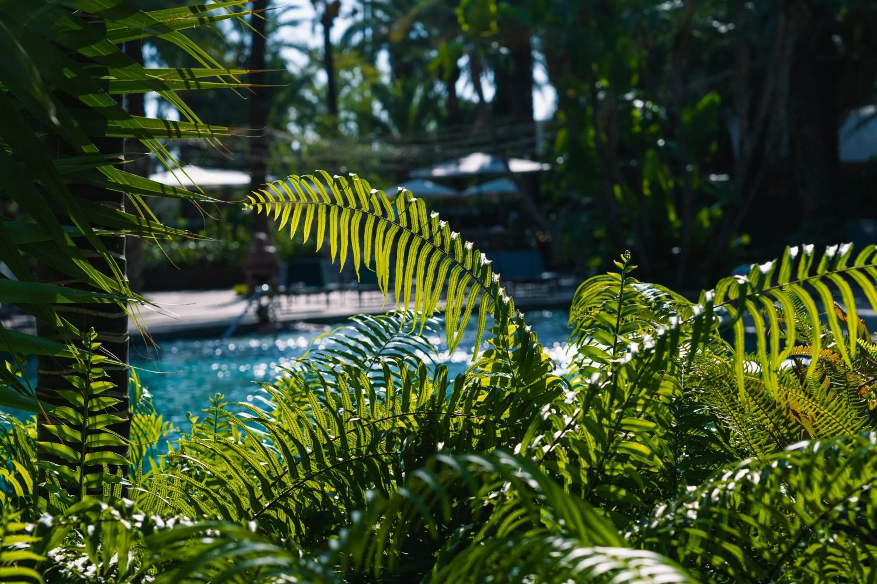Garden in Hotel Huerto del Cura